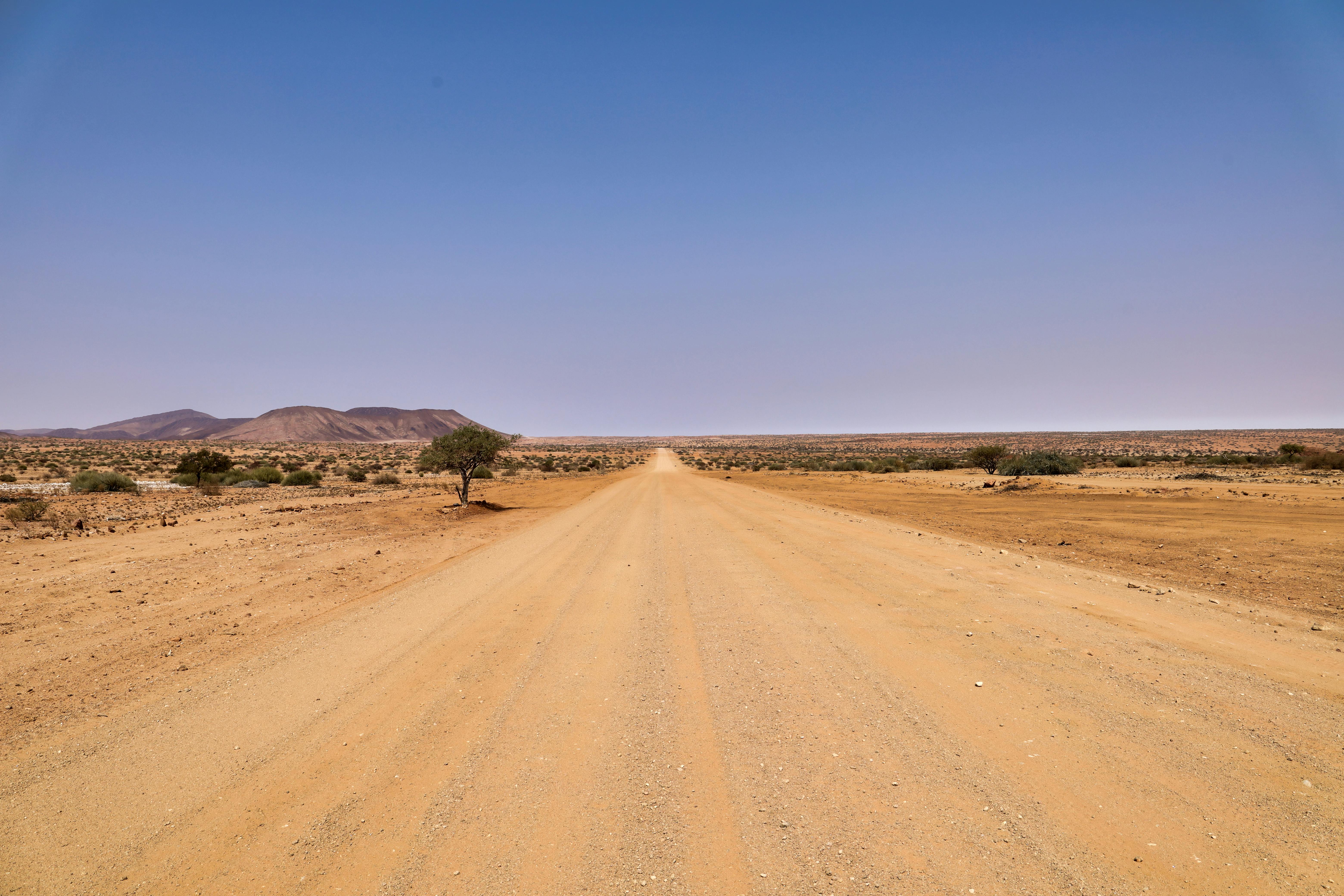 賴清德軍禮歡迎吐瓦魯總理 強調共抗地緣政治與氣候變遷挑戰