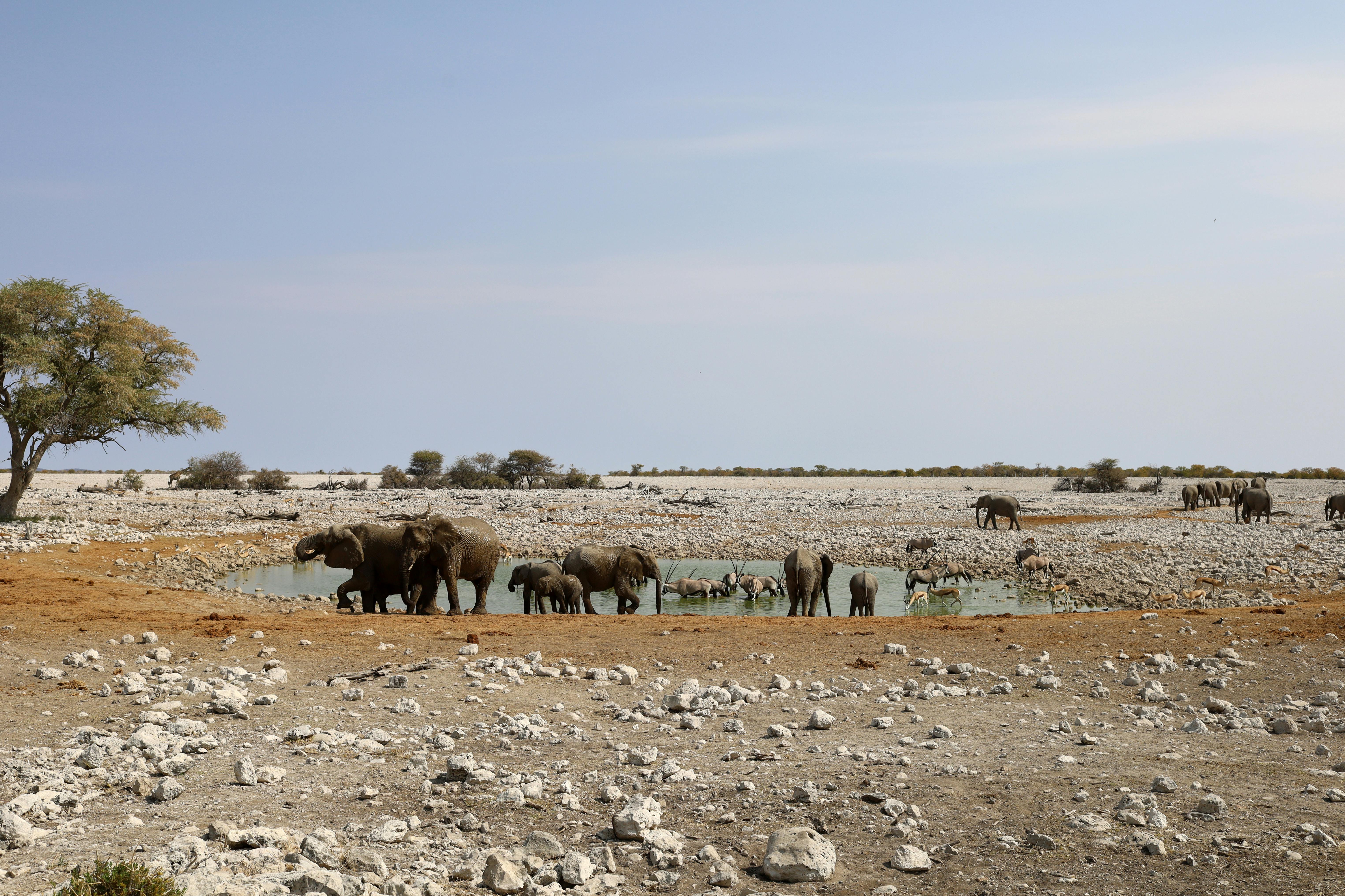 賴清德軍禮歡迎吐瓦魯總理 強調共抗地緣政治與氣候變遷挑戰