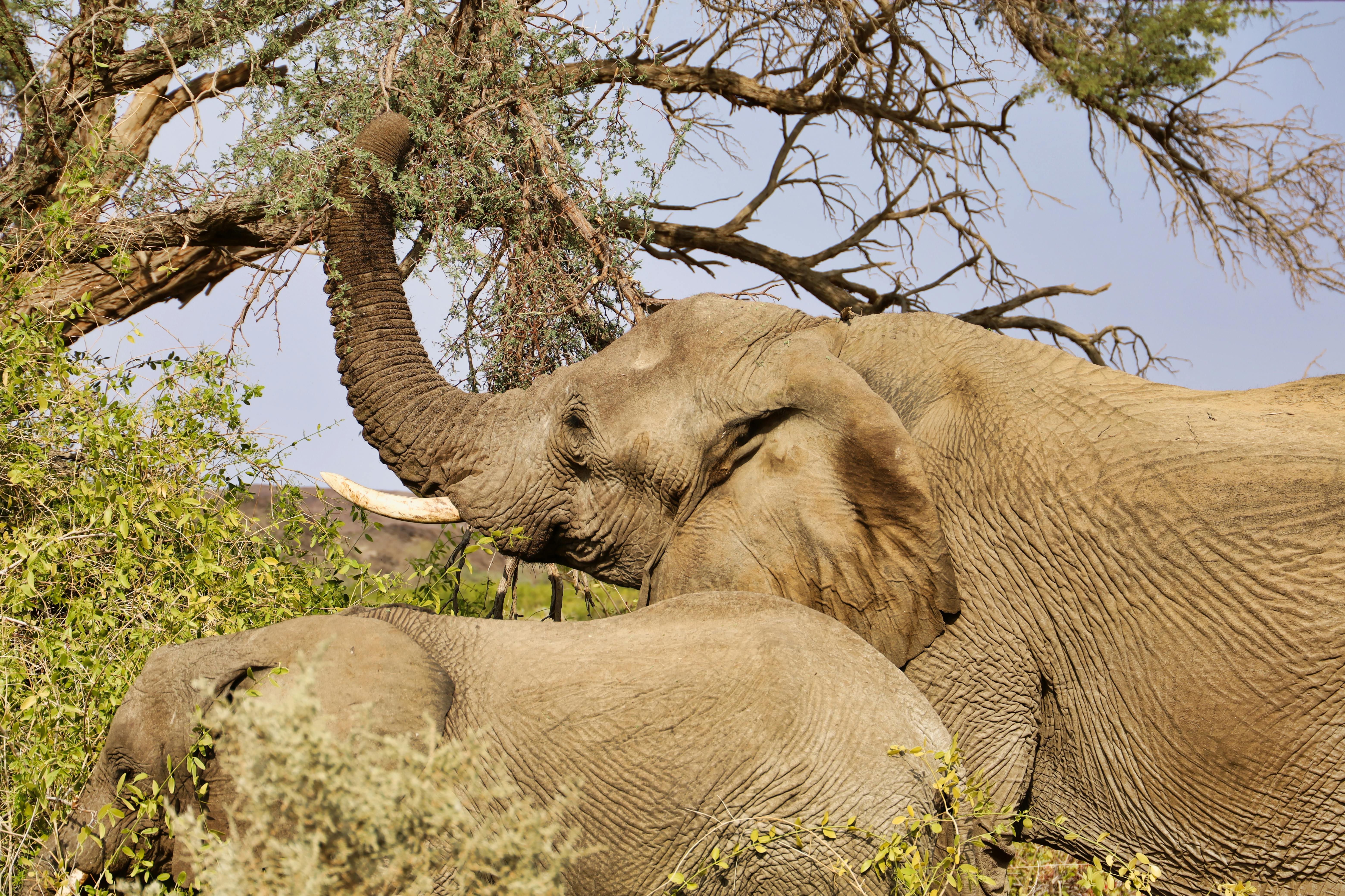 Future-Proof Your Vacation: The Ultimate 2026 Guide to Sustainable Travel & Conservation Booking