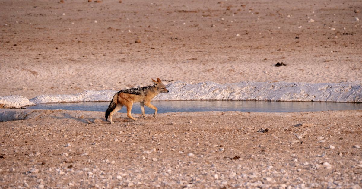 Photo of Namibia