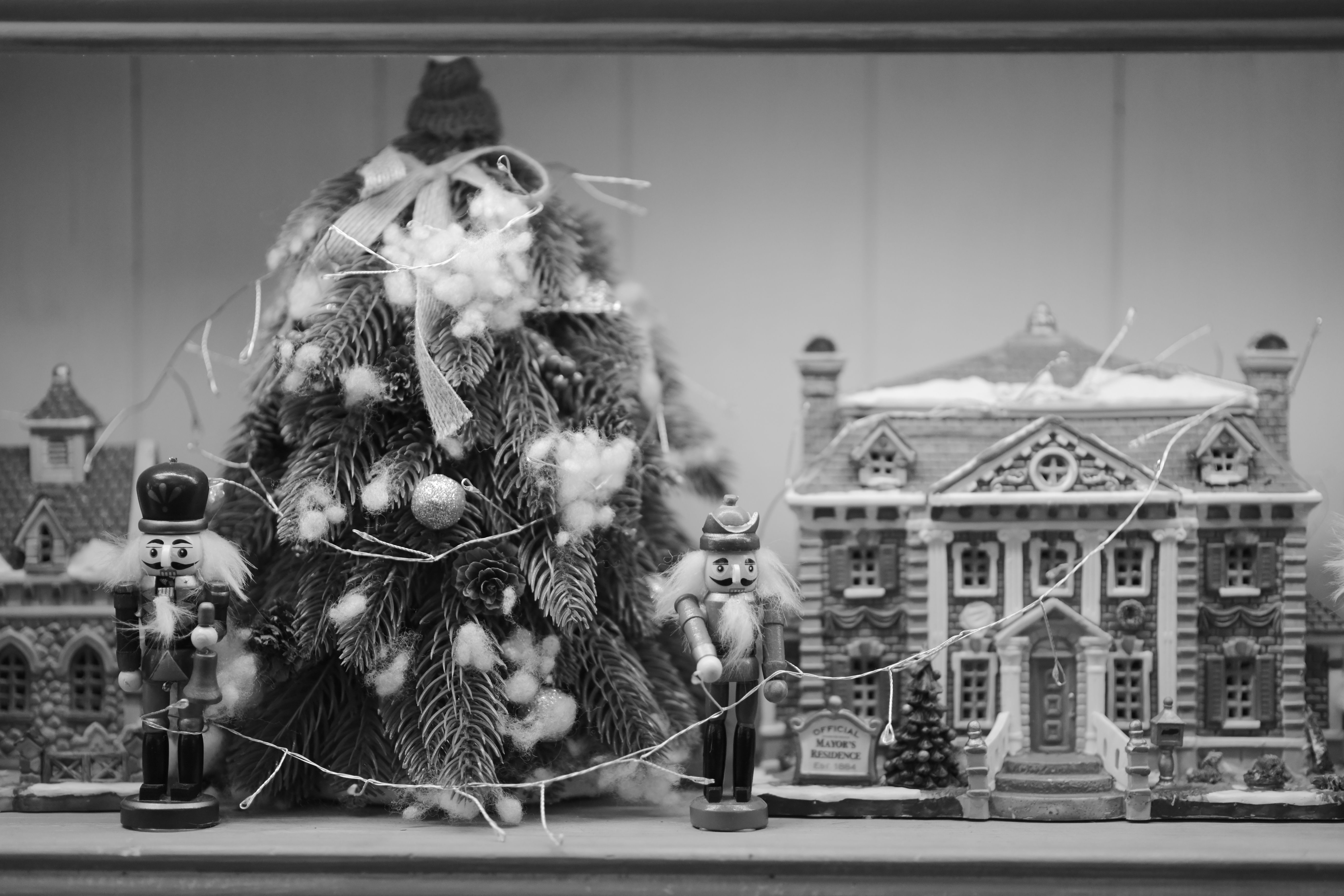 Christmas arrives at the White House. See photos, video of decor. — Photo by Sóc Năng Động on Pexels