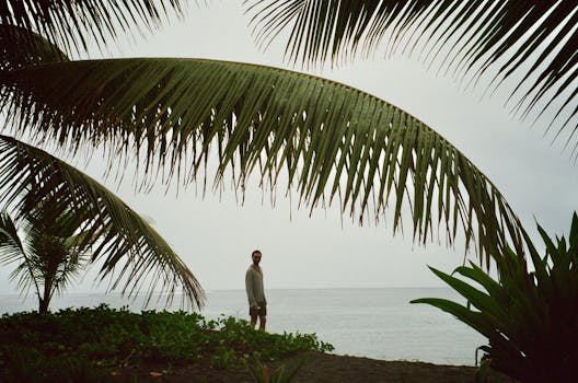 Tahiti, French Polynesia photo 15