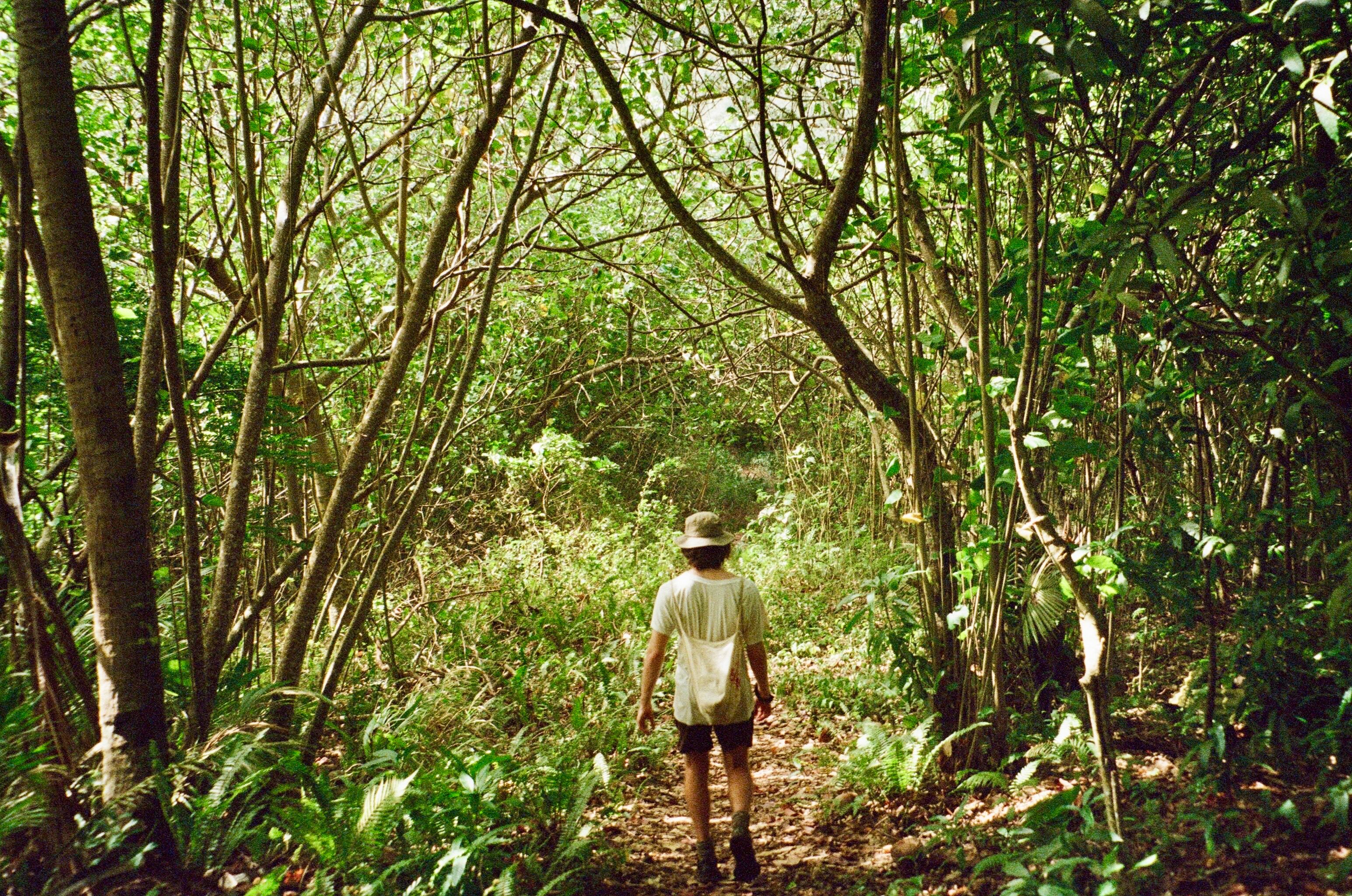 Educação Ambiental