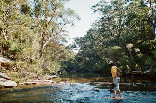 Free A hiker crosses a tranquil river surrounded by dense forest under a sunny sky. Stock Photo