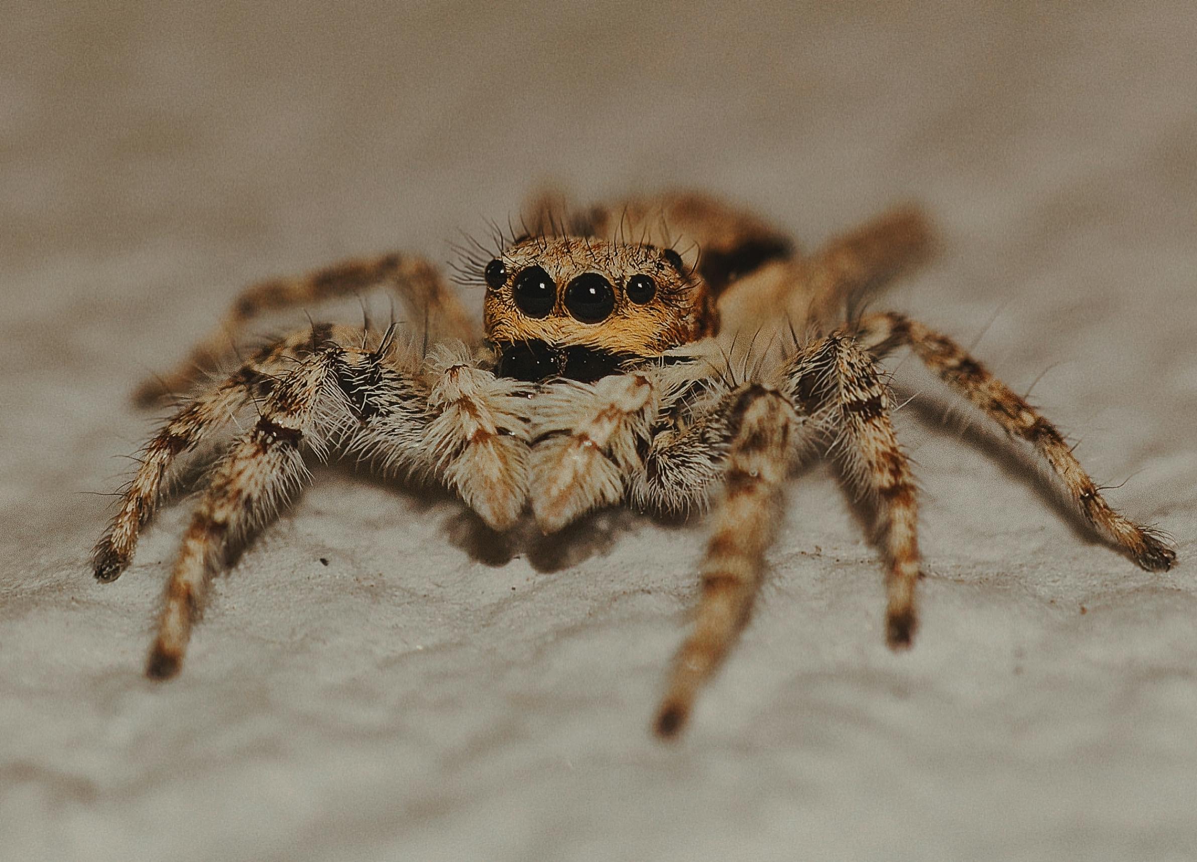 借鏡國際經驗 破解少子化危機的關鍵策略