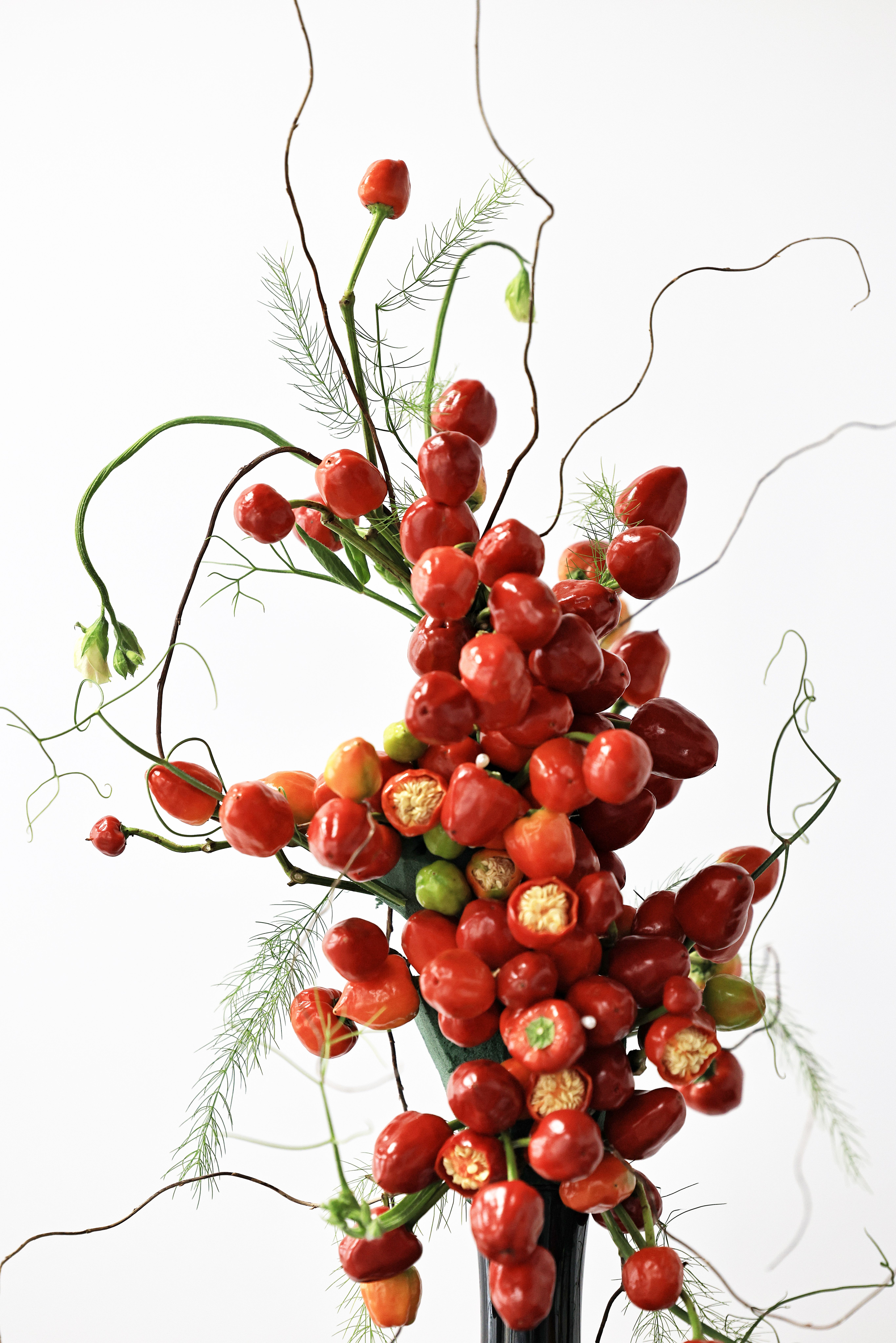 Vibrant Red Chili Pepper Arrangement · Free Stock Photo