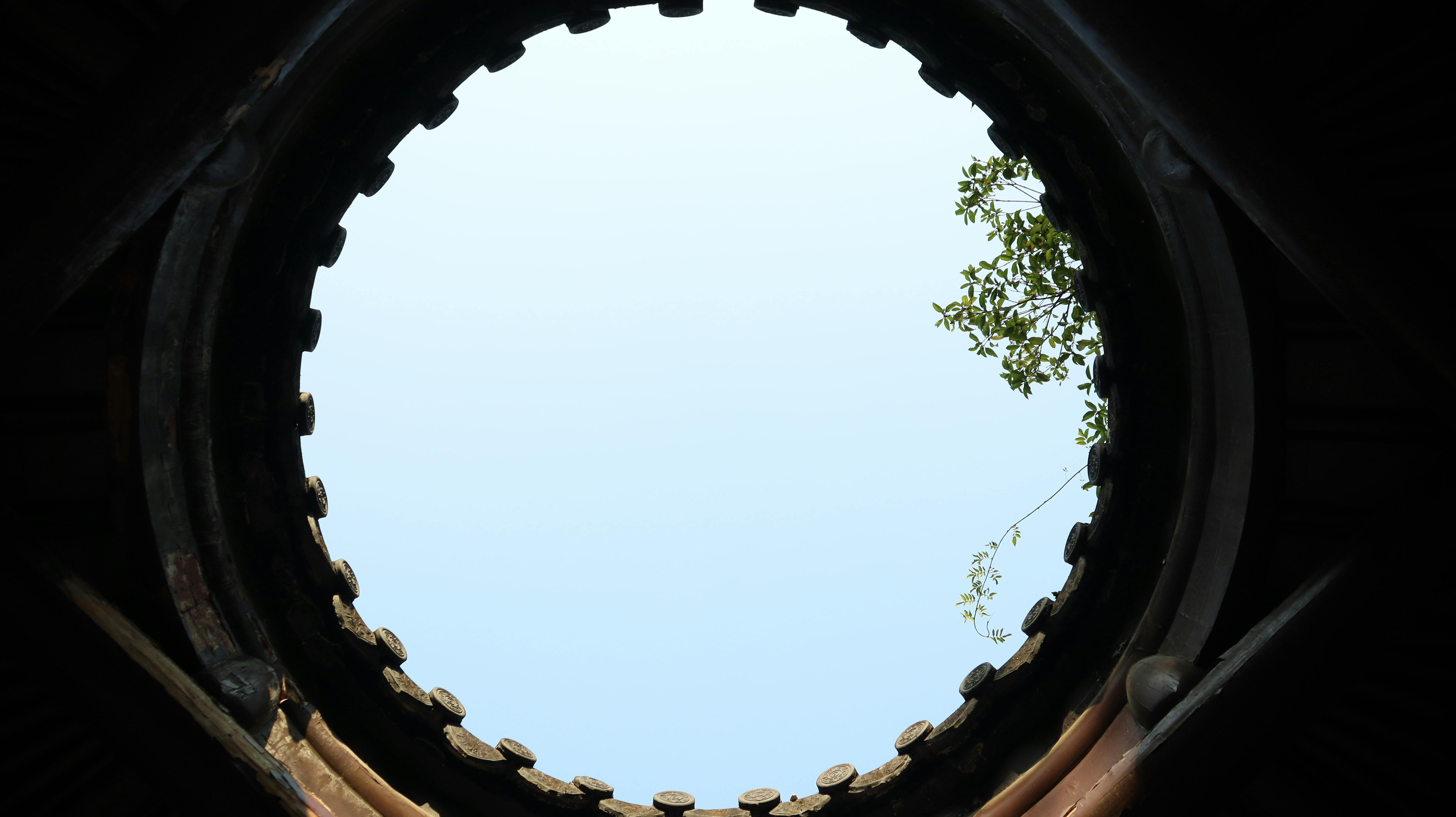 Kostenlos Rundumblick durch ein Dach mit blauem Himmel und Blättern, die hindurchschauen. Stock-Foto