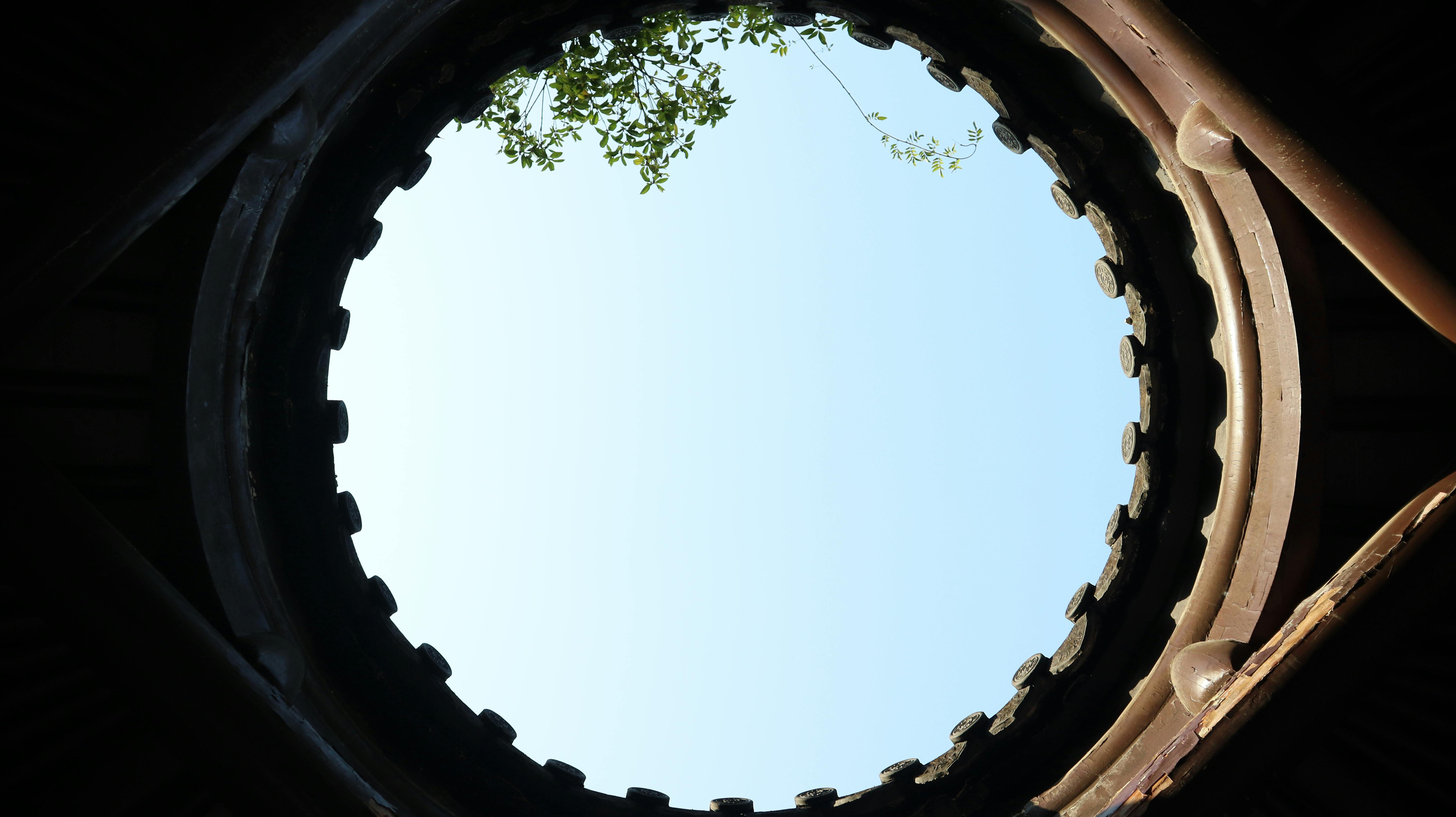 Безкоштовне Круговий вид на світловий люк, обрамлений спорудою з гілками дерев, видимими на тлі блакитного неба. стокове фото