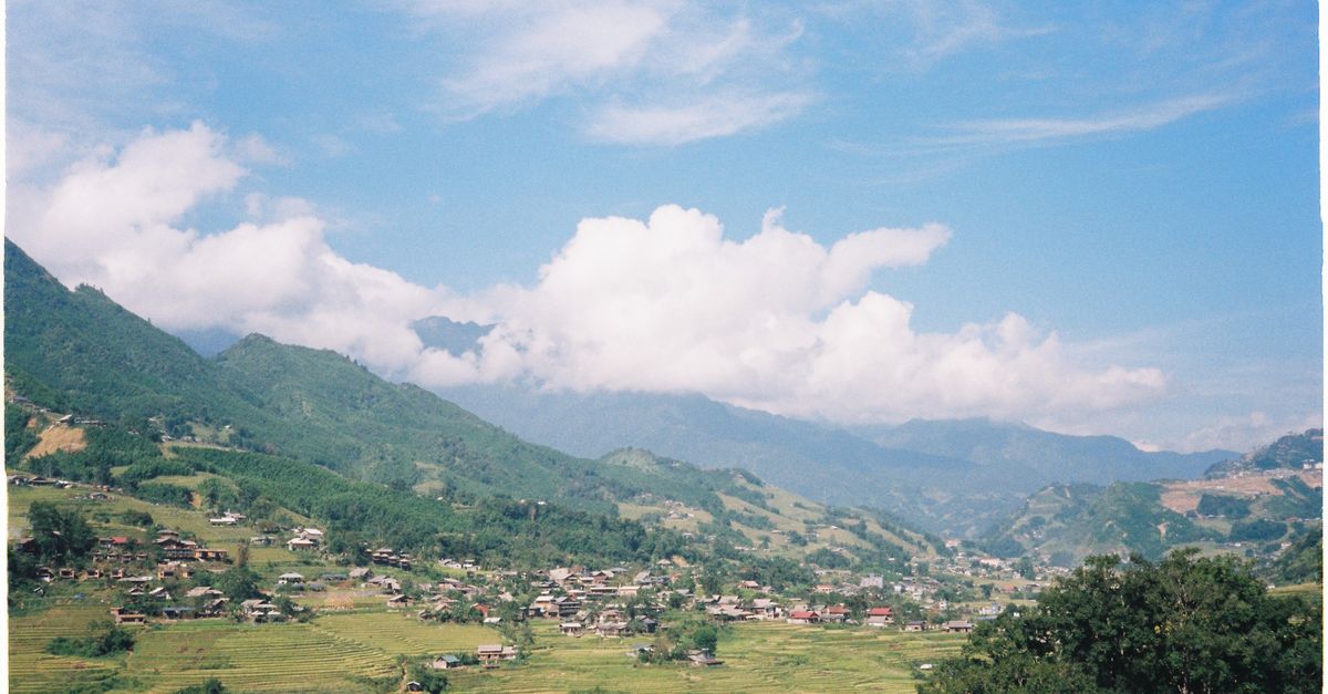 Sapa