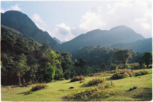 Breathtaking mountain landscape in Lao Cai, Vietnam, capturing lush greenery and towering peaks.