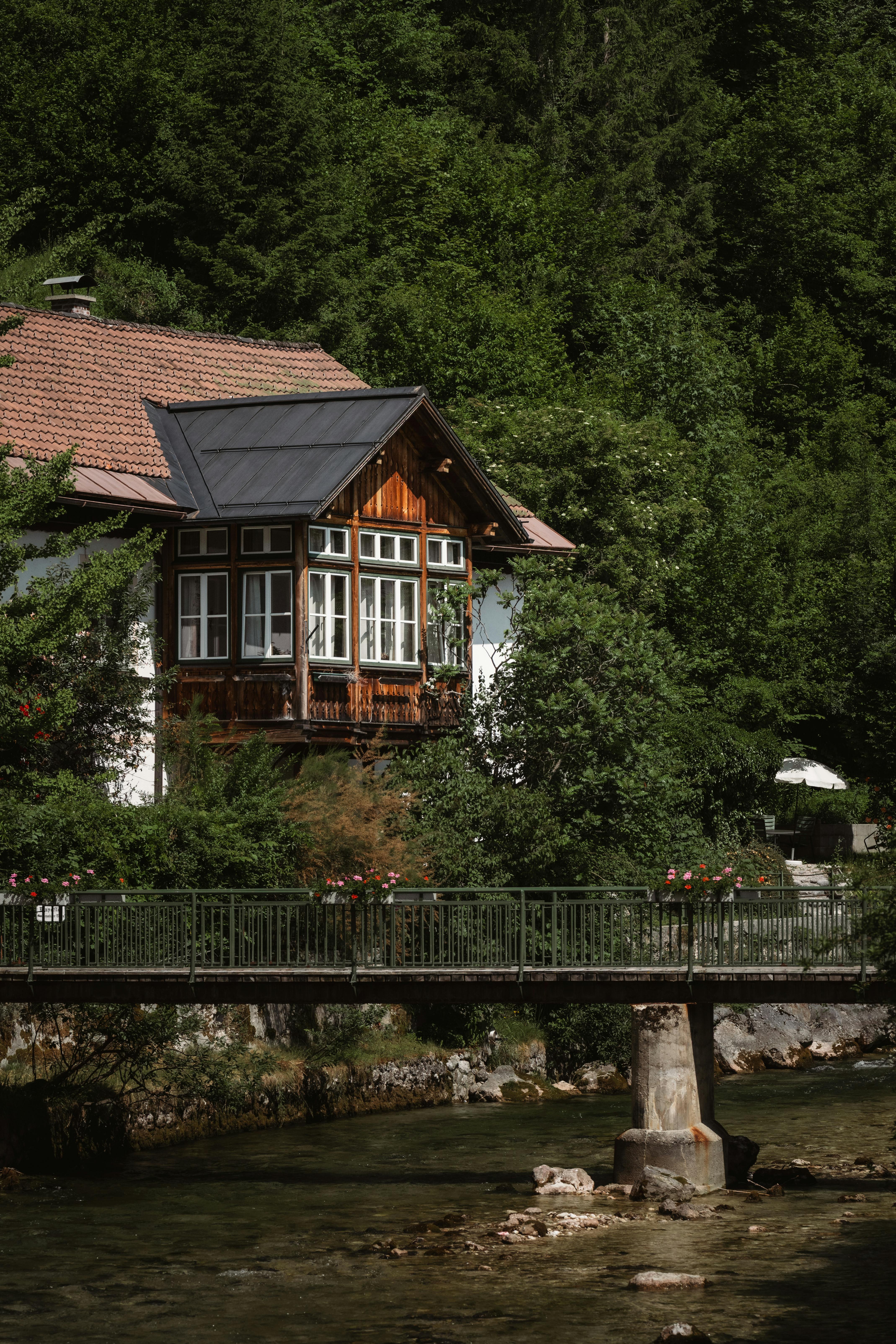 De franc Una pintoresca cabana de fusta al costat d'un tranquil rierol en un bosc exuberant, ideal per a una escapada tranquil·la. Foto d'estoc