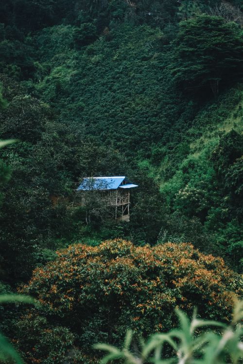 Free A small cabin hidden among lush green forest, offering a serene and secluded retreat. Stock Photo
