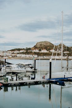 停靠的船只和风景优美的山丘，构成了宁静港口的背景