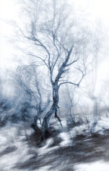 Ethereal winter scene showcasing artistic bare trees in a blurred snow-covered forest.