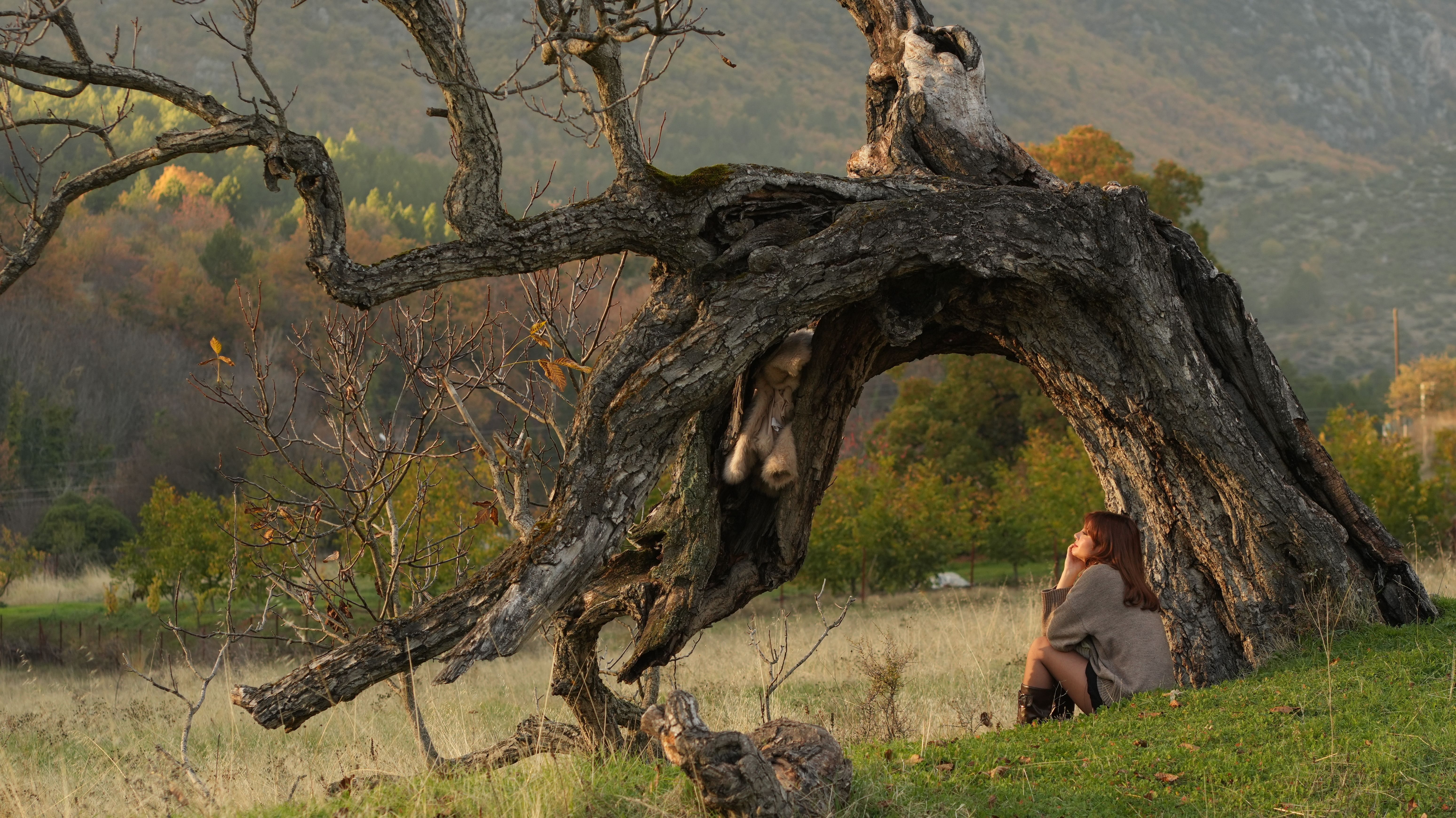 Contemplative Moment Under Ancient Tree · Free Stock Photo