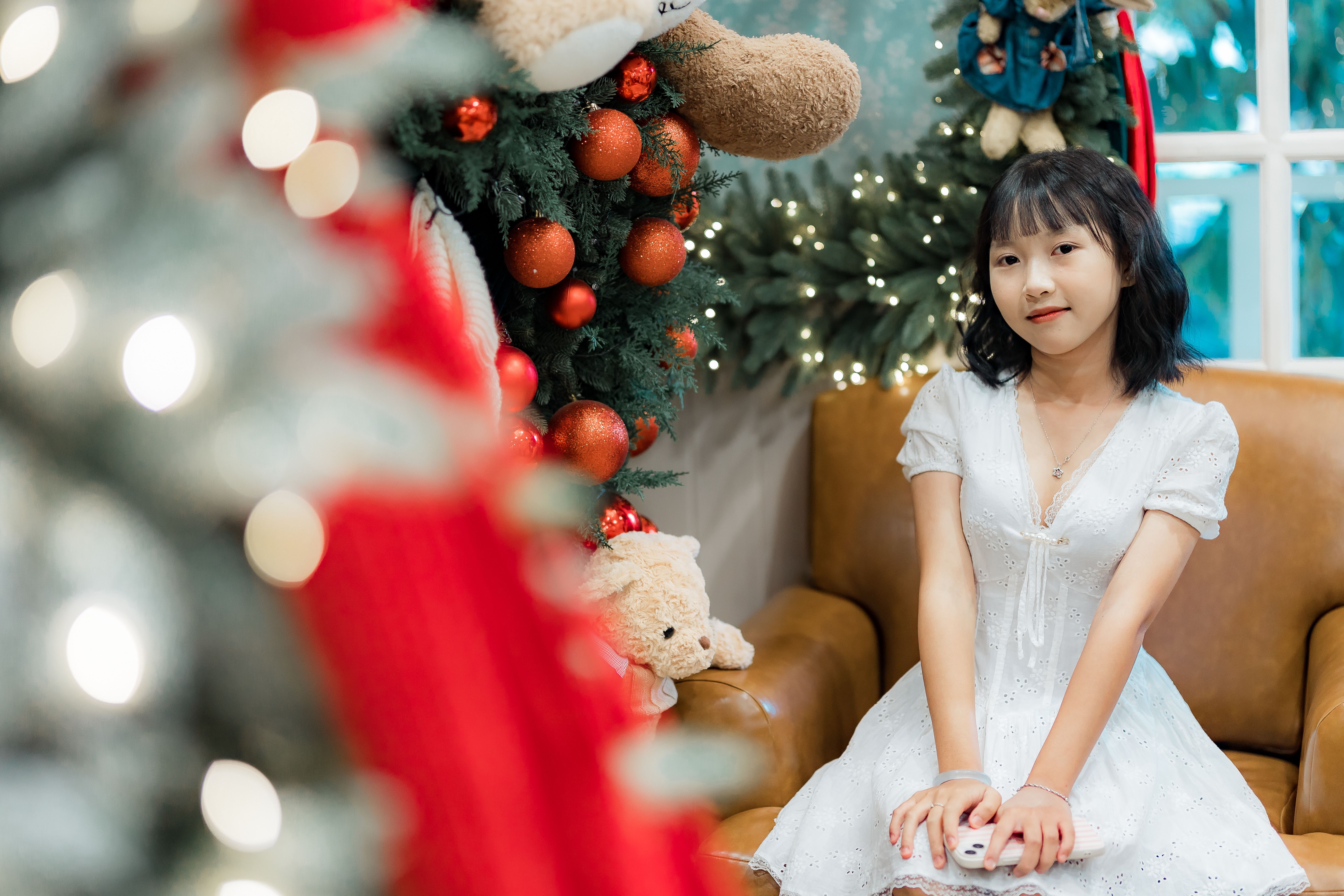 Christmas arrives at the White House. See photos, video of decor. — Photo by 🇻🇳🇻🇳Nguyễn Tiến Thịnh 🇻🇳🇻🇳 on Pexels