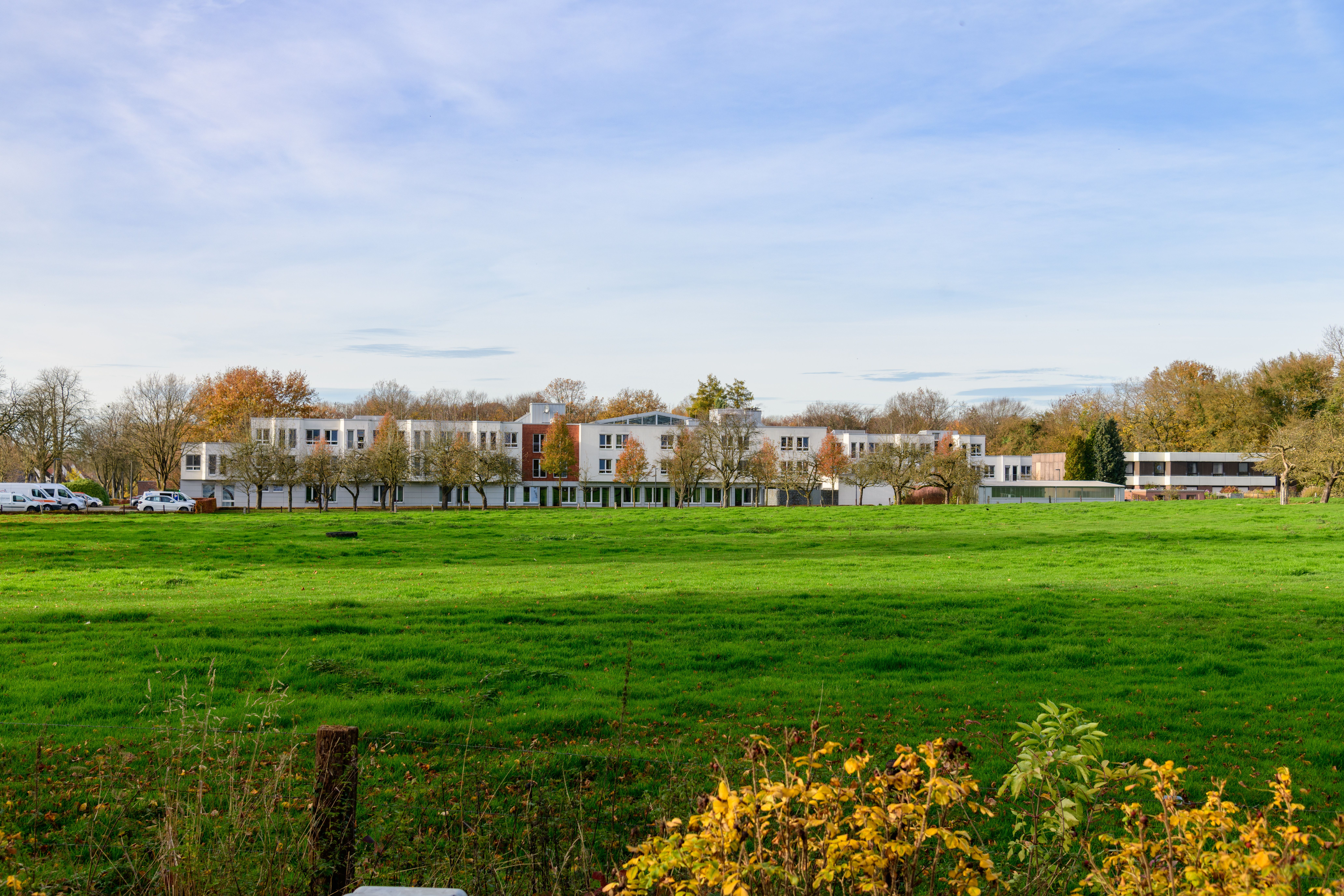 Wide view of modern residential buildings surrounded by lush greenery and autumn foliage under clear sky.