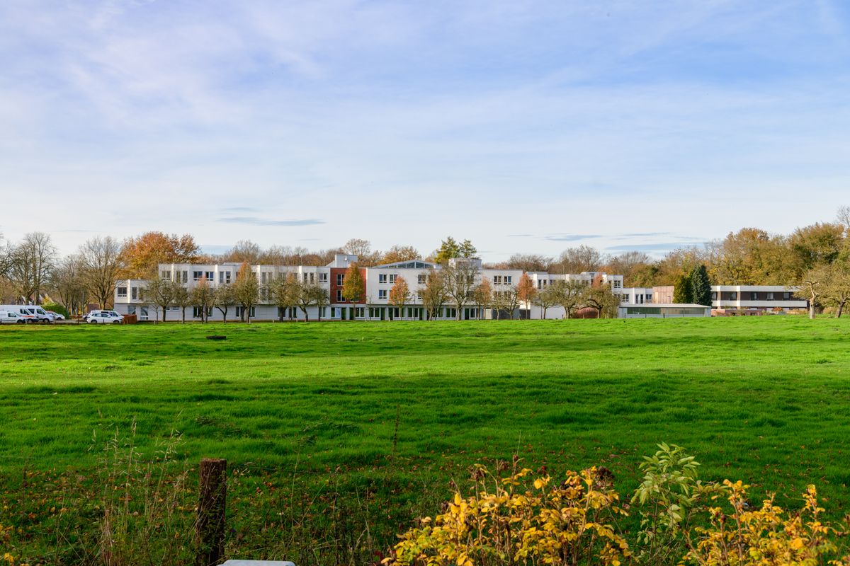 student moves in Chandler's Cross — Student Moves in Chandler's Cross — the working end of the job