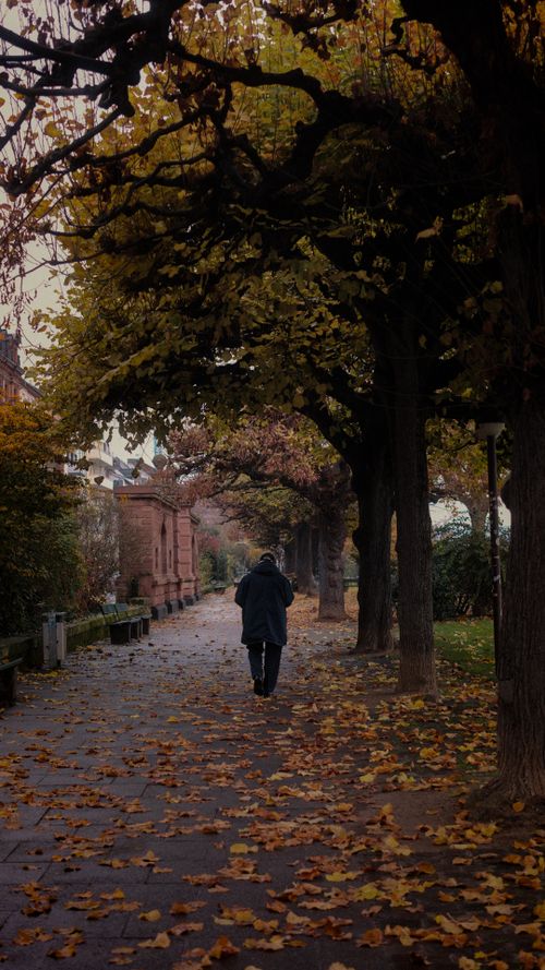Free A lone figure walks down a leaf-covered path in Mainz, Germany, showcasing the serene autumn ambiance. Stock Photo