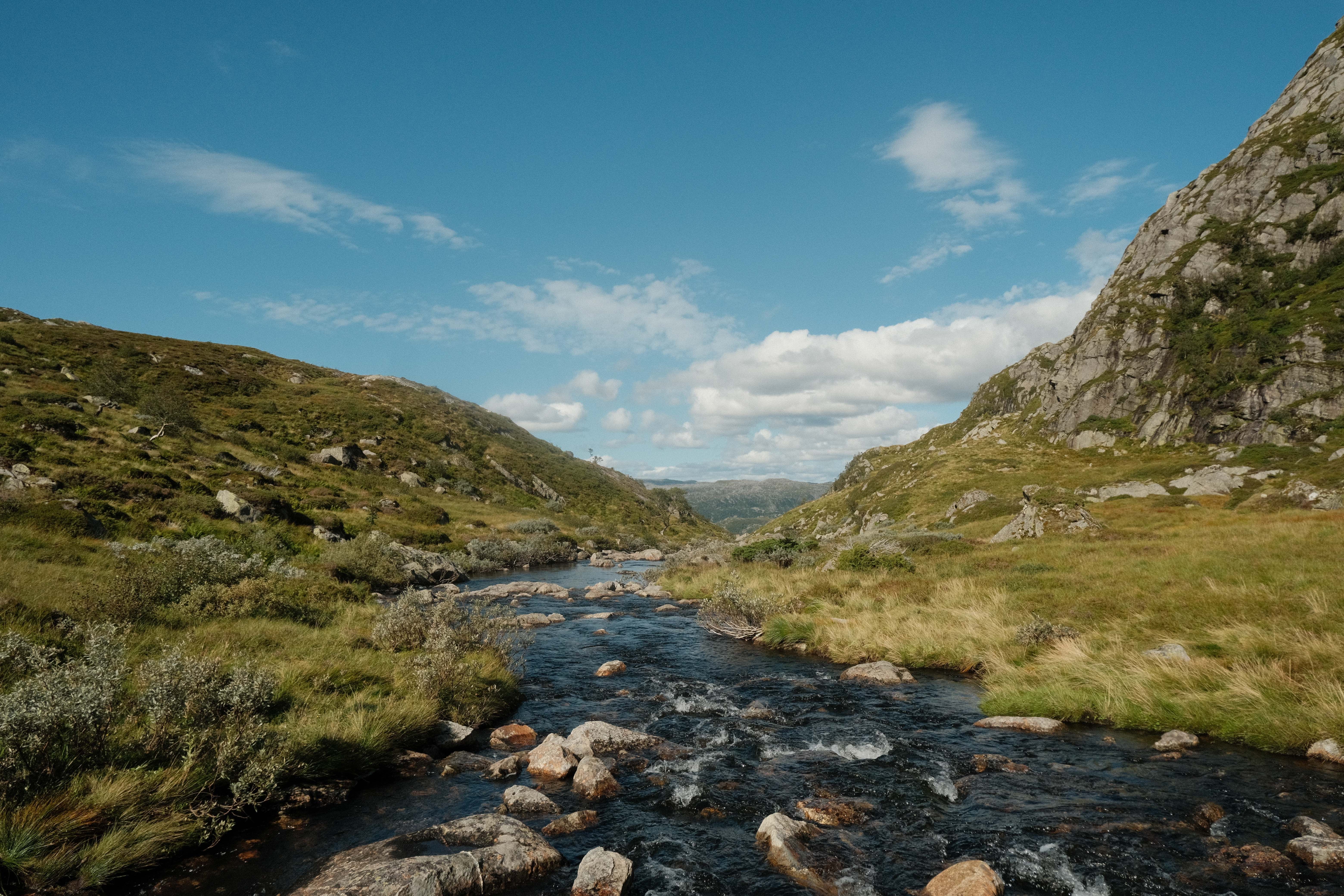 Ultimate RIB Expedition to Seiland National Park - 3.5h Review: An Arctic Adventure You Won't Forget Review 2026 - A serene mountain river flowing through the lush landscape of Norway on a sunny day.