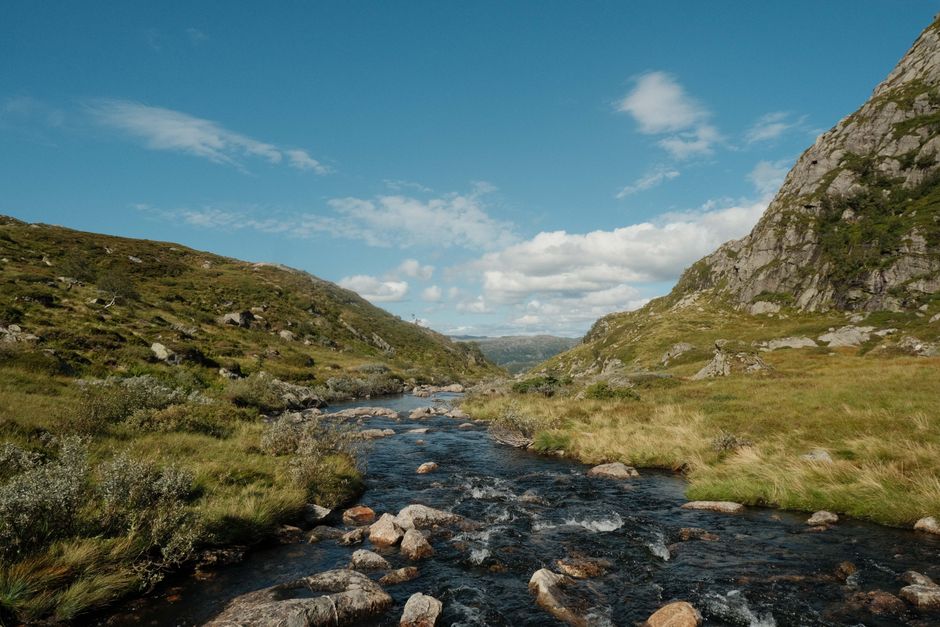 Ultimate RIB Expedition to Seiland National Park - 3.5h Review: An Arctic Adventure You Won't Forget Review 2026 - A serene mountain river flowing through the lush landscape of Norway on a sunny day.