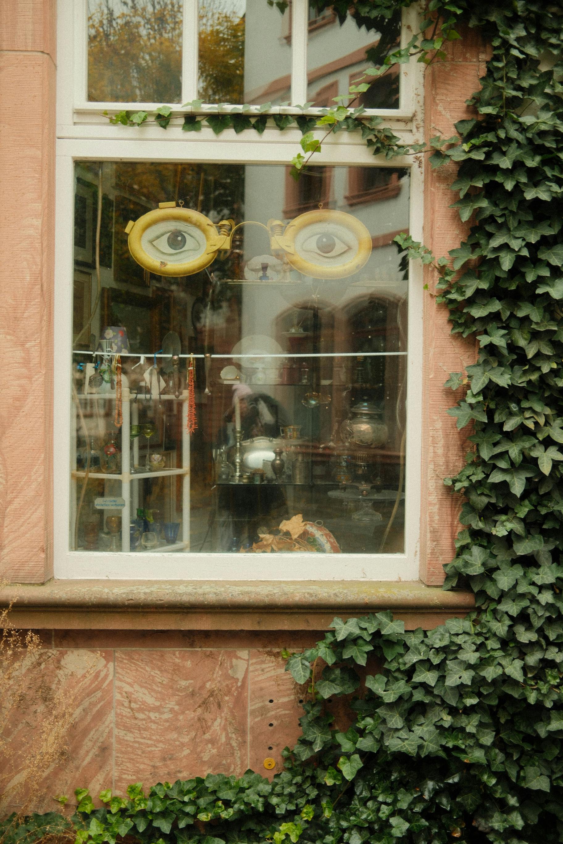 De franc Un aparador únic amb art de vidres i vinyes frondoses al carrer Mainz. Foto d'estoc