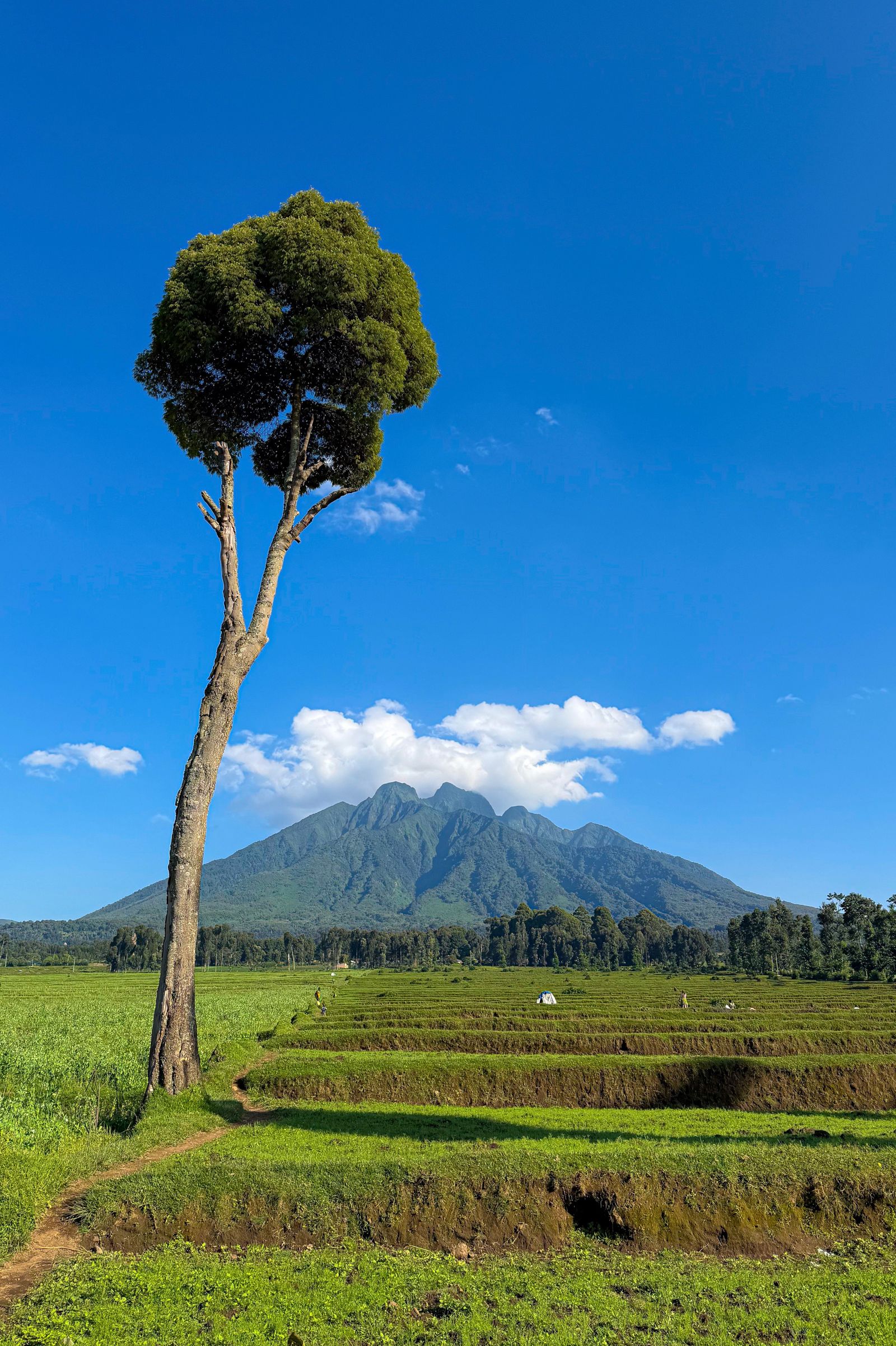 Mount Karisimbi and the Rwandan landscape
