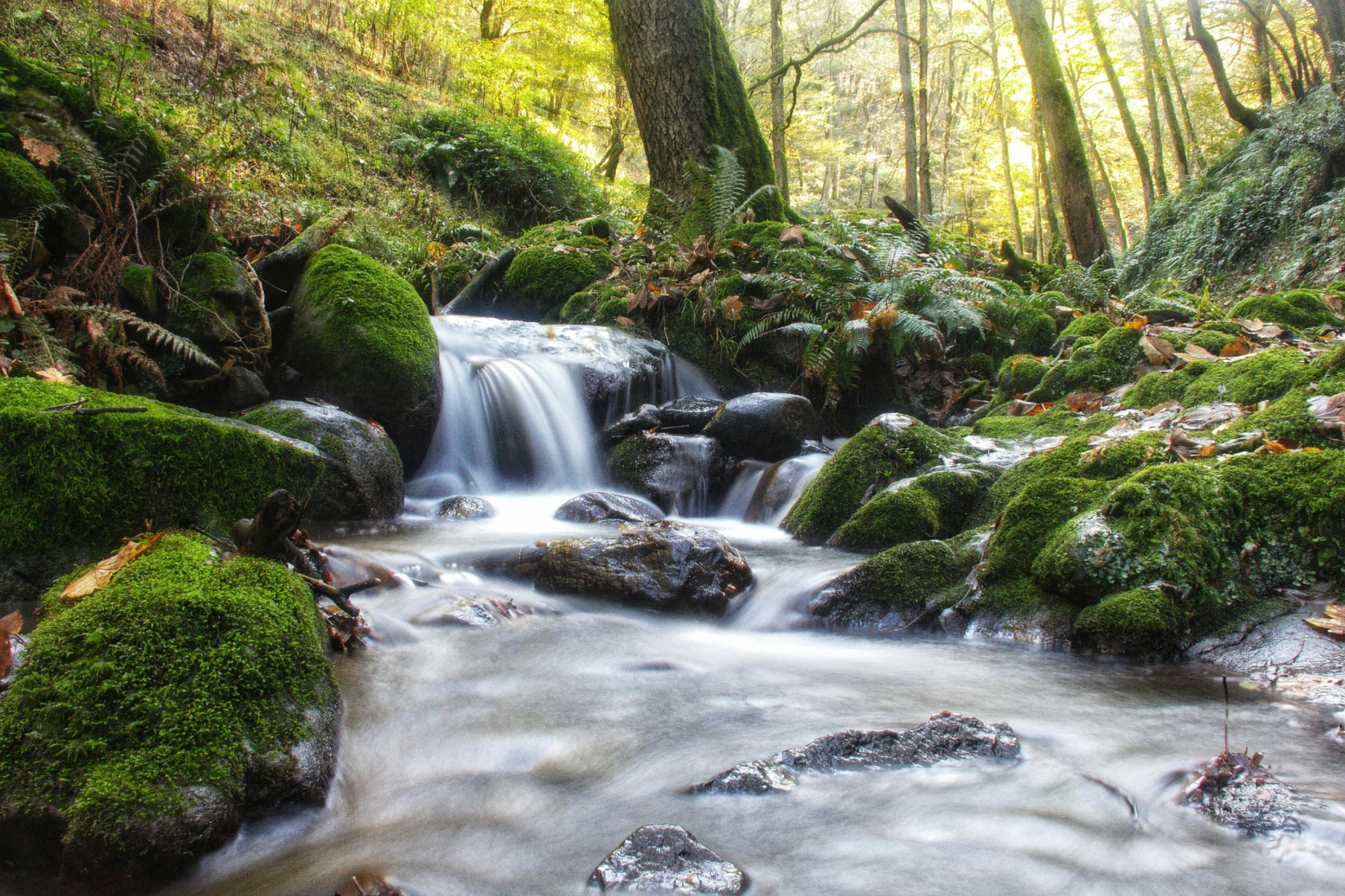 生活：新北最大鳳鳴滯洪池預計明年2月底完工 提升防洪效能