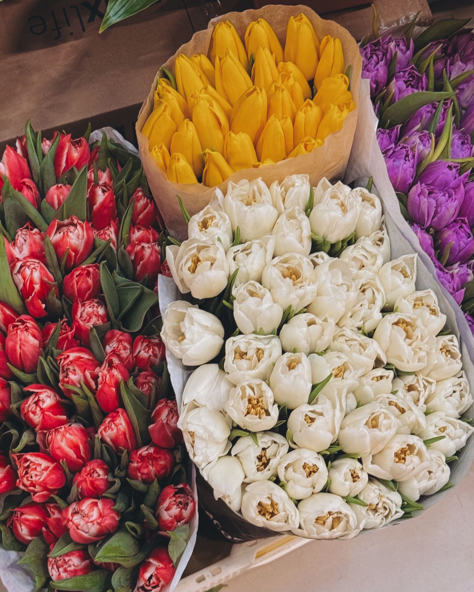 Bossen tulpen in rood, wit, geel en paars op een bloemenmarkt