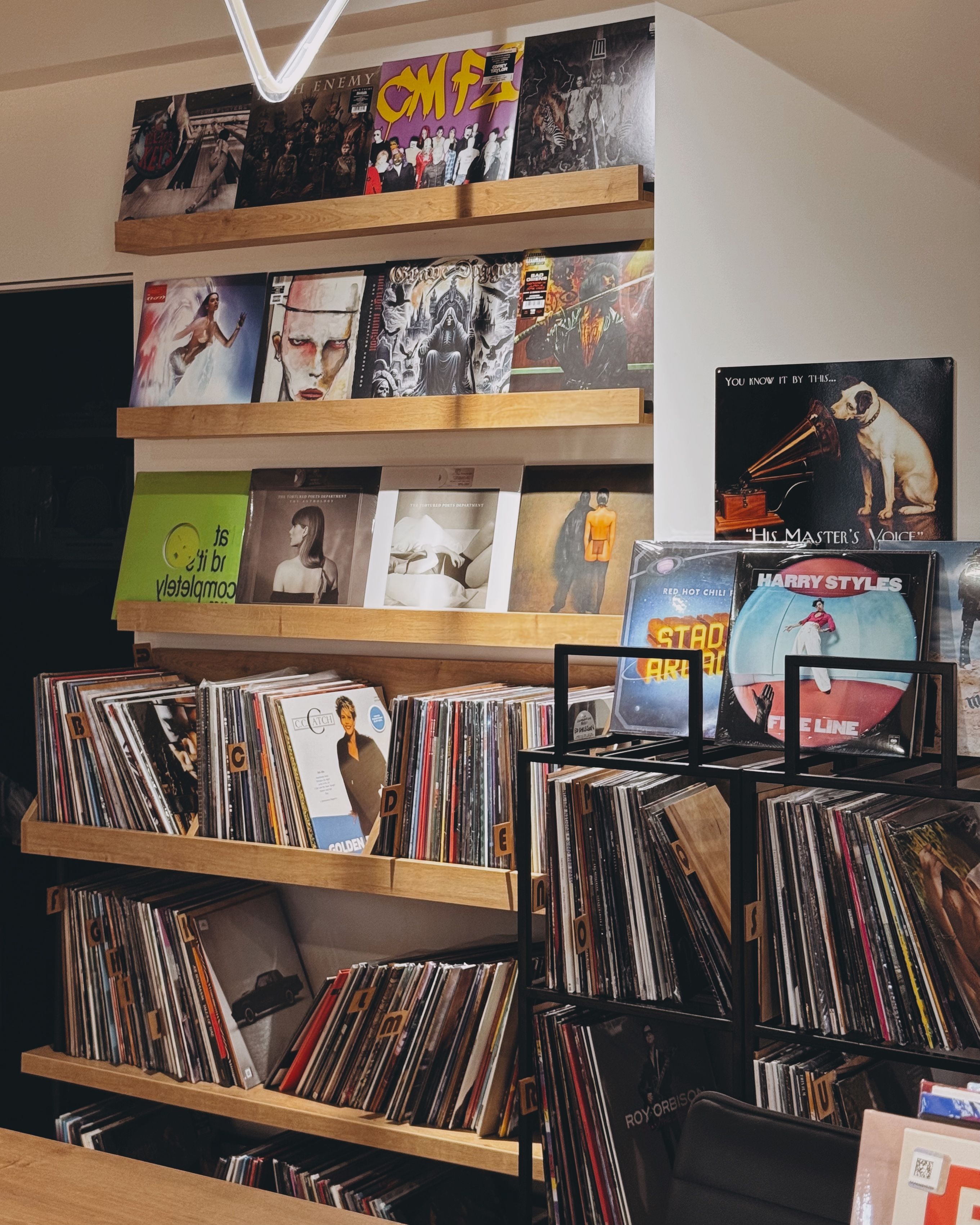 Cozy Vinyl Record Store with Albums on Display · Free Stock Photo