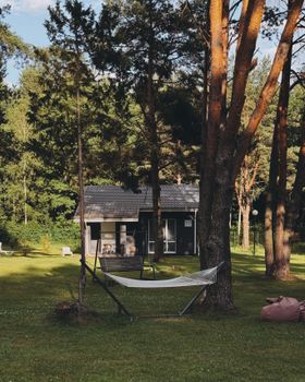 Serene forest scene with hammock under trees and modern cabin in the background.