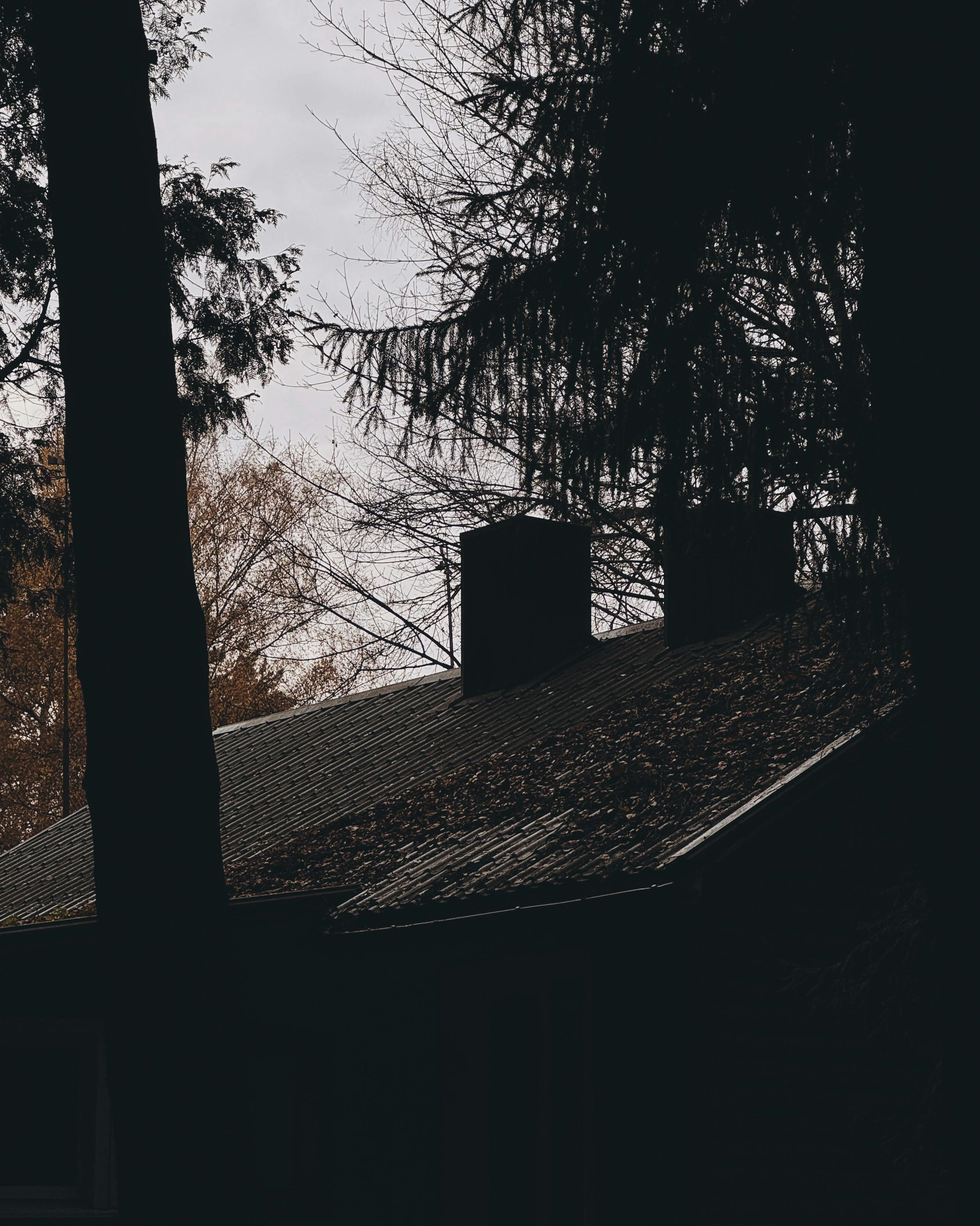Gratuit Silueta unui acoperiș și a copacilor pe un cer mohorât de toamnă, surprinzând o atmosferă calmă și introspectivă. Fotografie de stoc