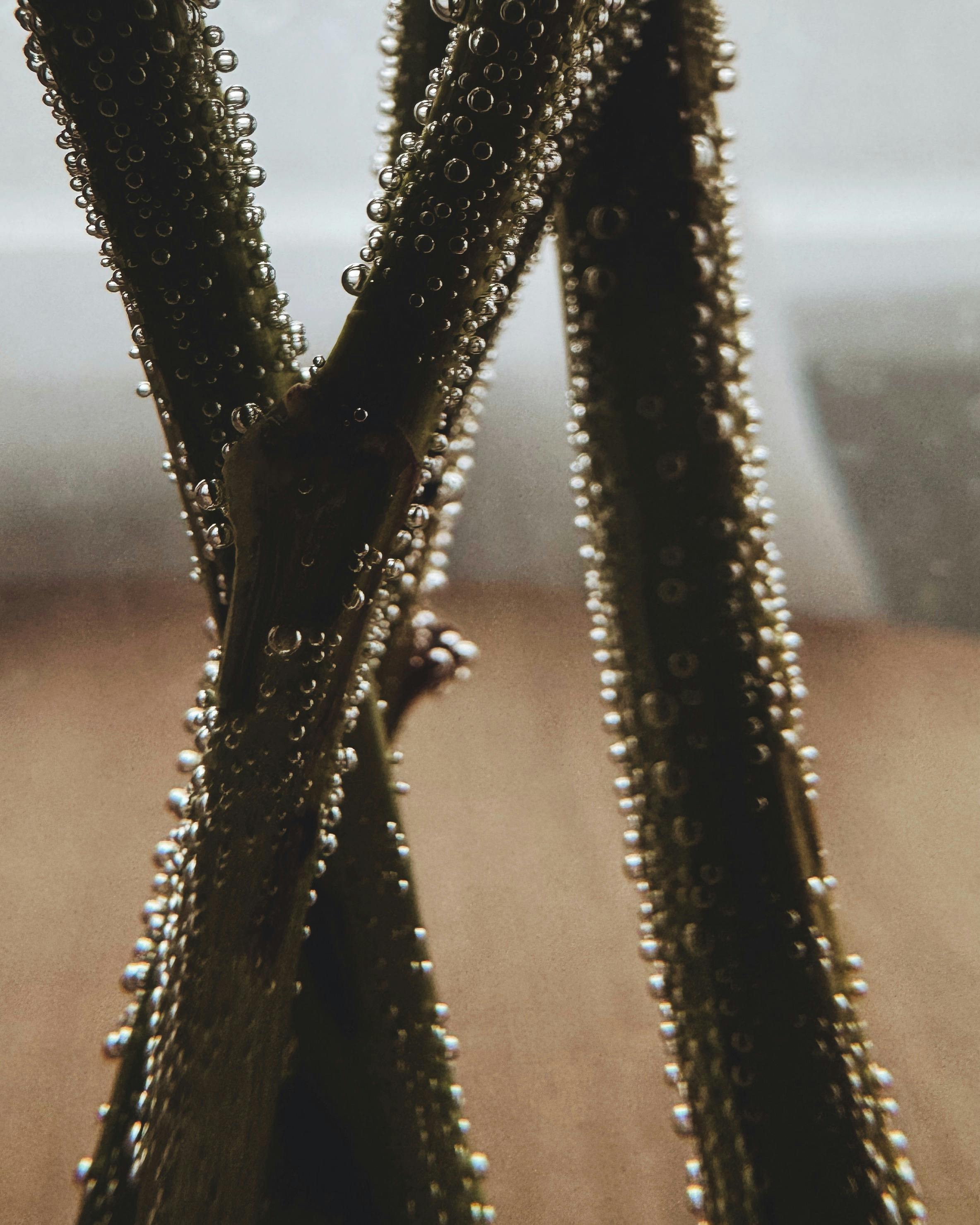 免費 具有環保意識, 分子, 埋 的 免費圖庫相片 圖庫相片