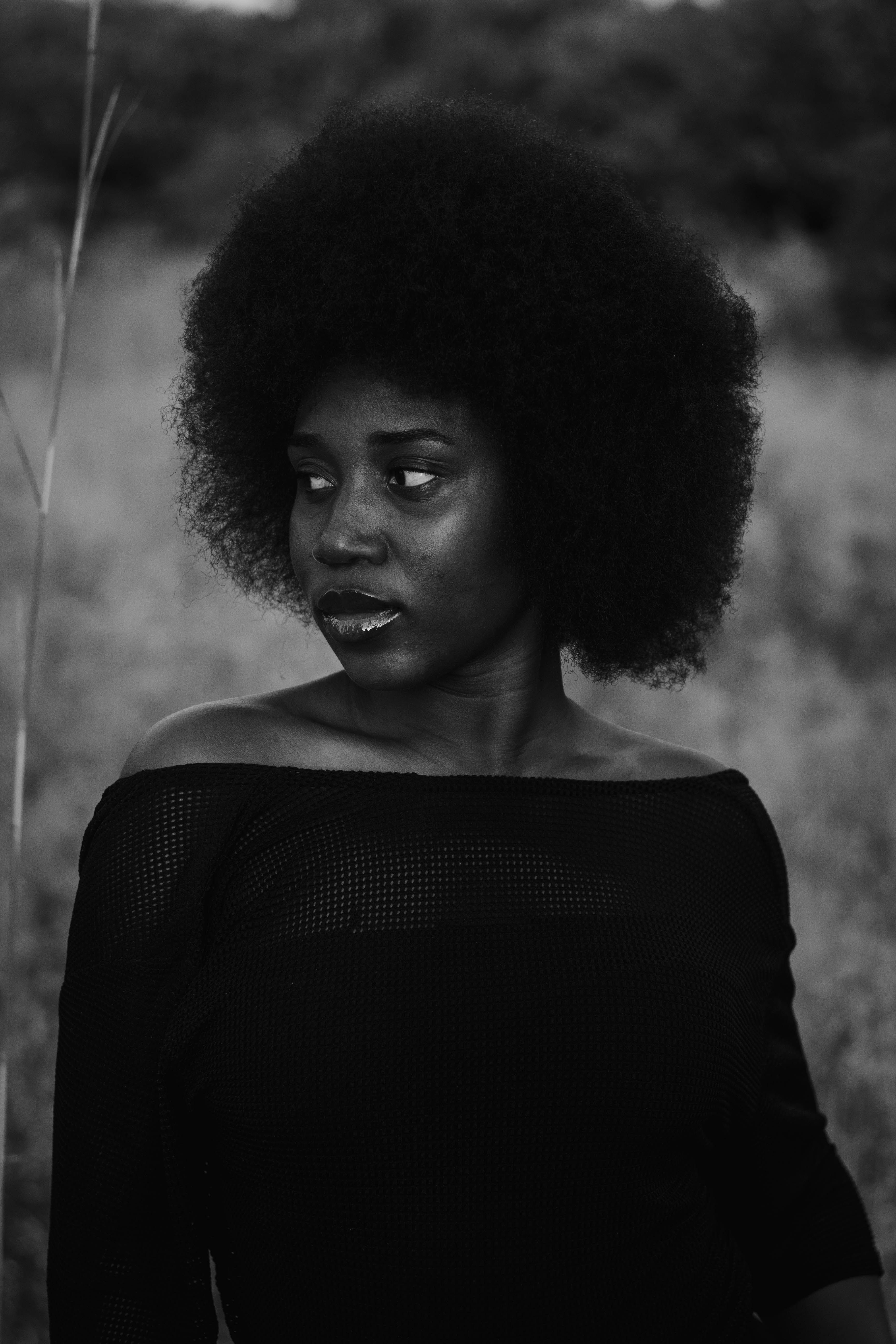 Gratis Ritratto artistico in bianco e nero di una donna con i capelli afro in un ambiente naturale. Foto a disposizione