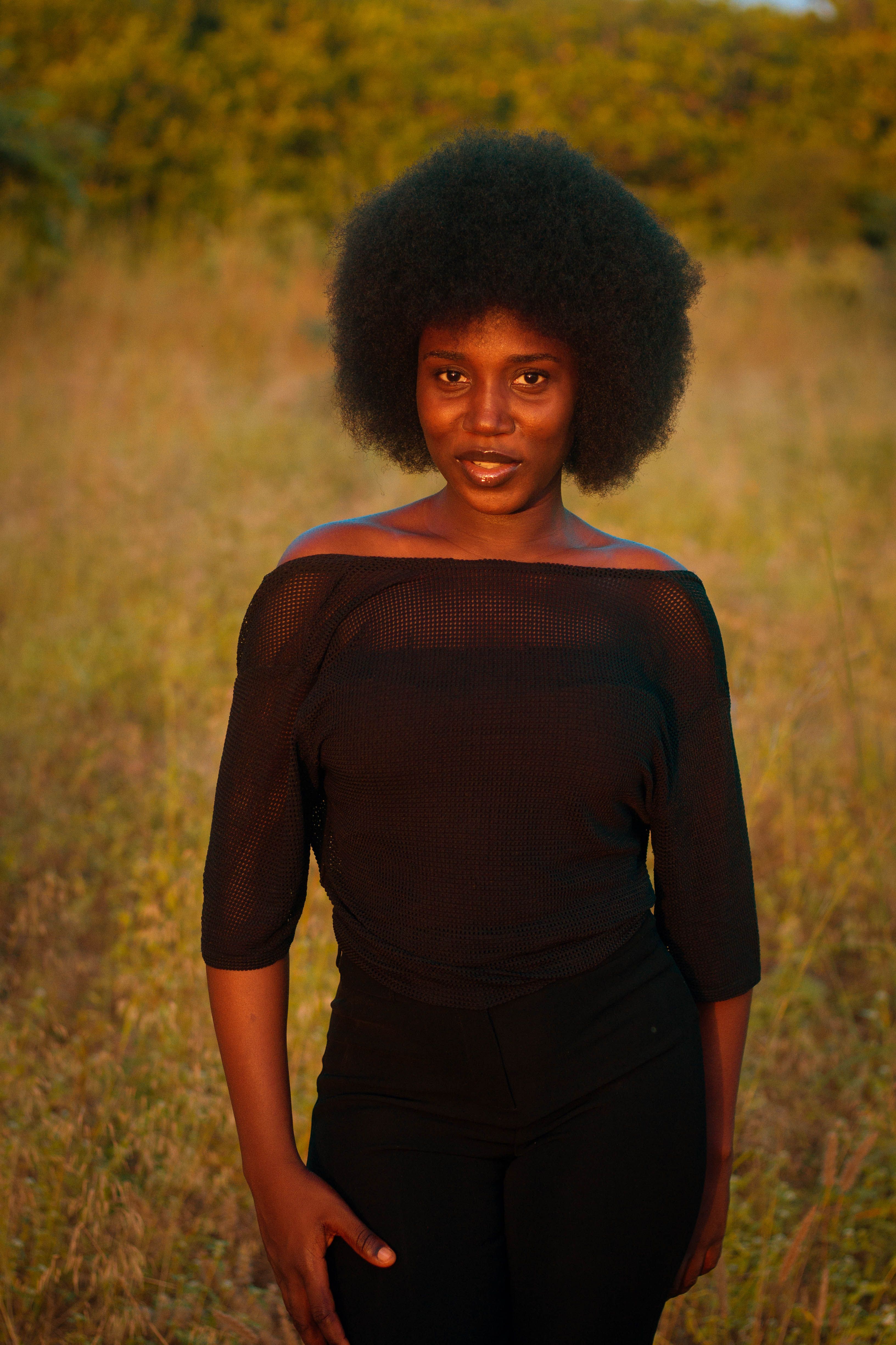 Portrait of Woman in Nature at Golden Hour · Free Stock Photo