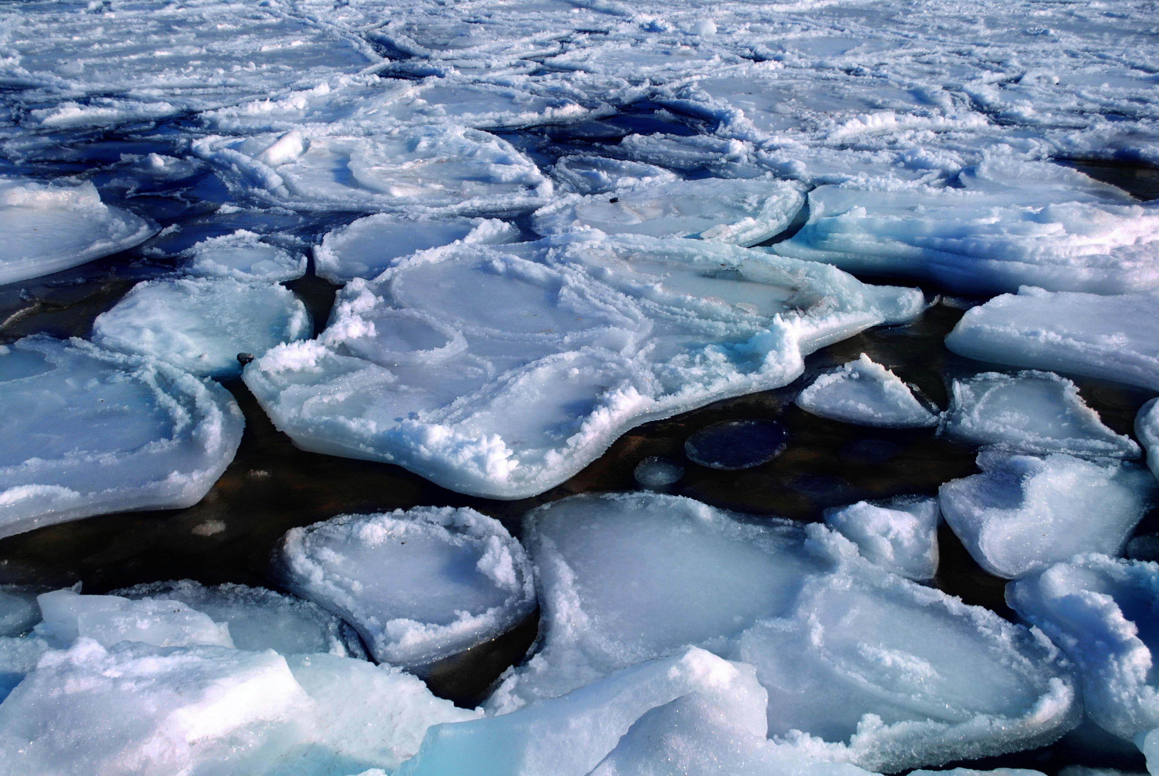 Weather Forecasting During a Polar Vortex Collapse: Tips for Staying Informed and Safe This Winter
