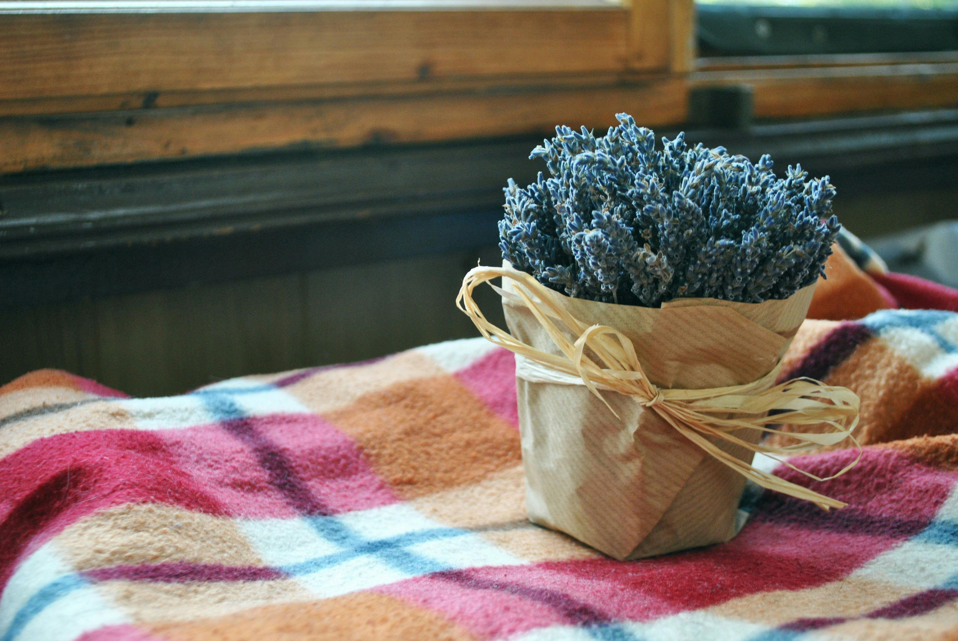 鄭黃會互贈禮品，呂家愷獨家揭「藍鵲盤」政治語言，王義川神解笑