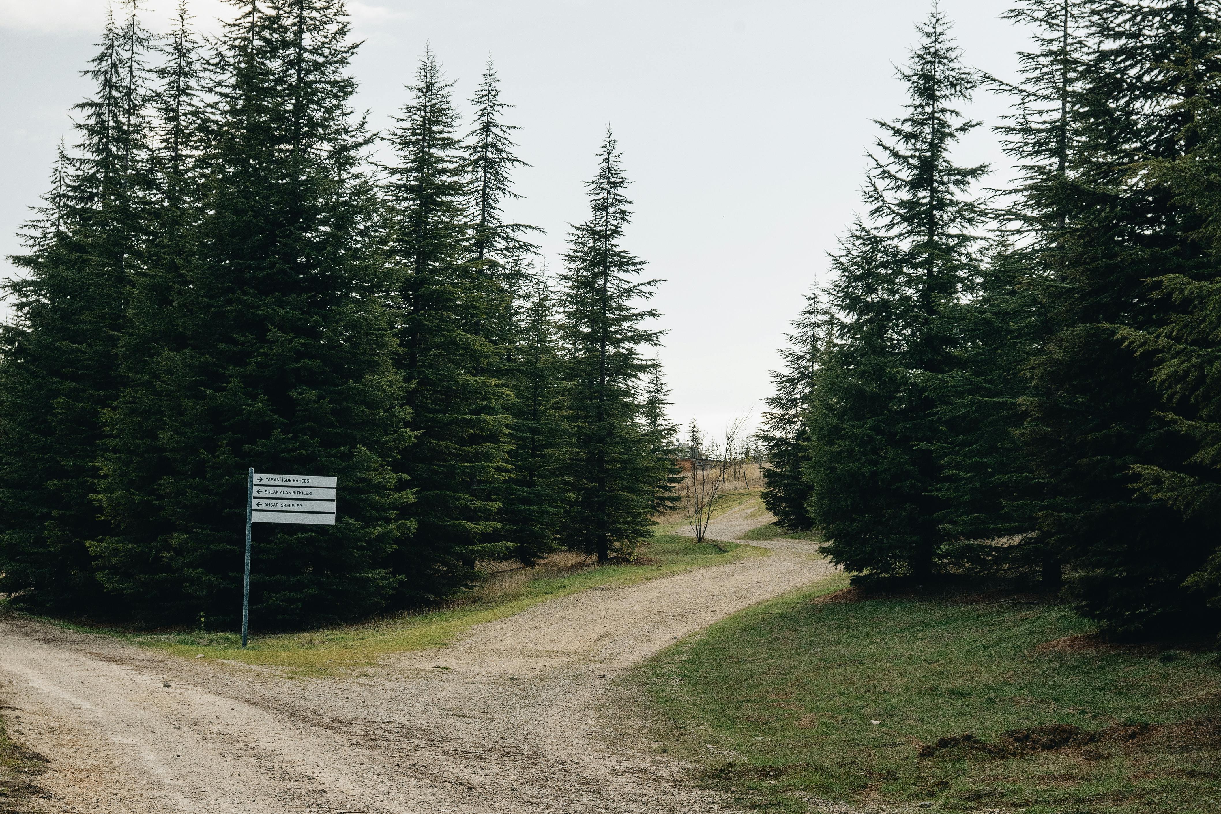 At a Crossroads: Should You Retire Early with $1.3M to Spend Time with — stock market and equity investing — inflation — 2026