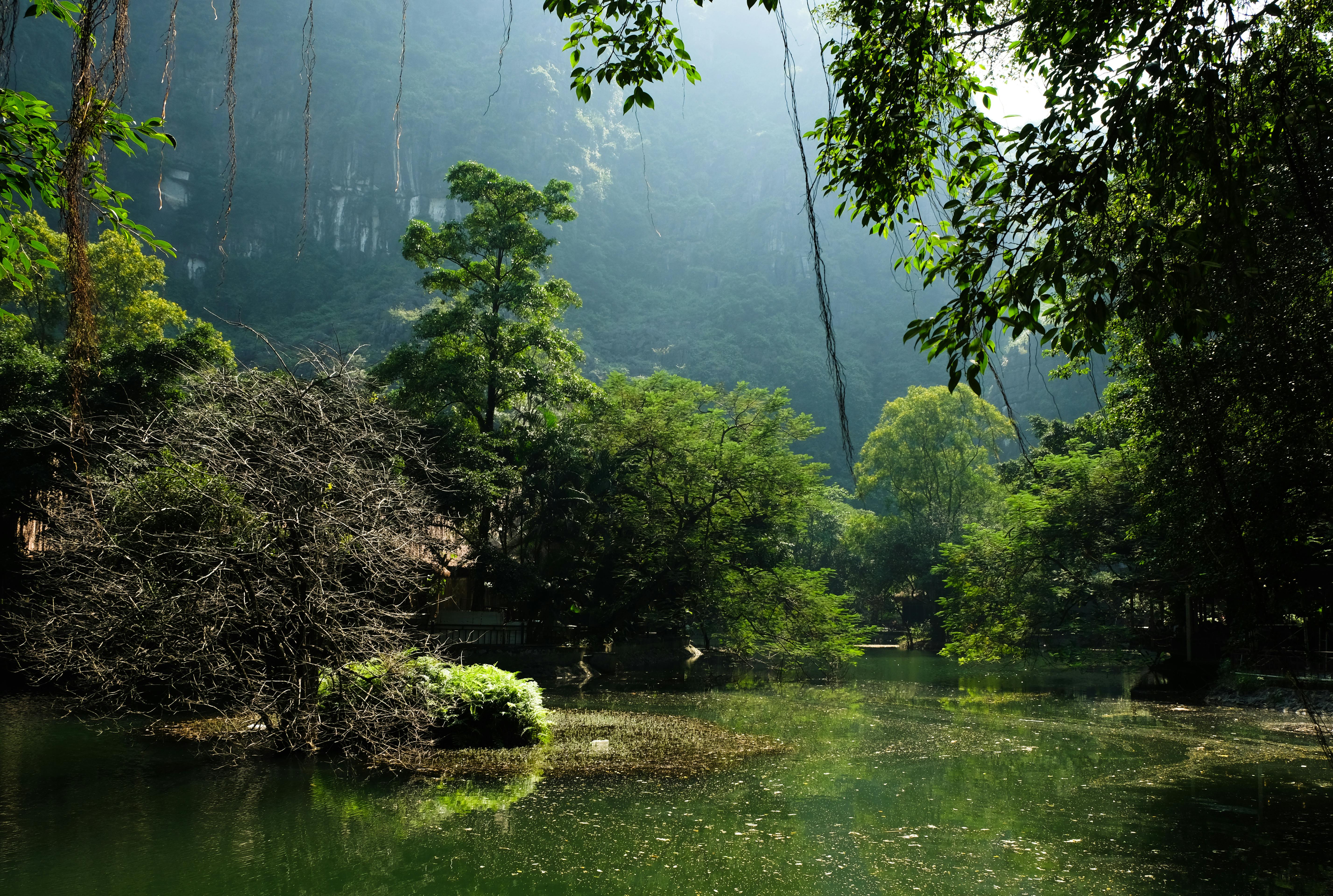 全家蔬食熱潮持續攀升 「植覺生活」年增兩成推新品搶市