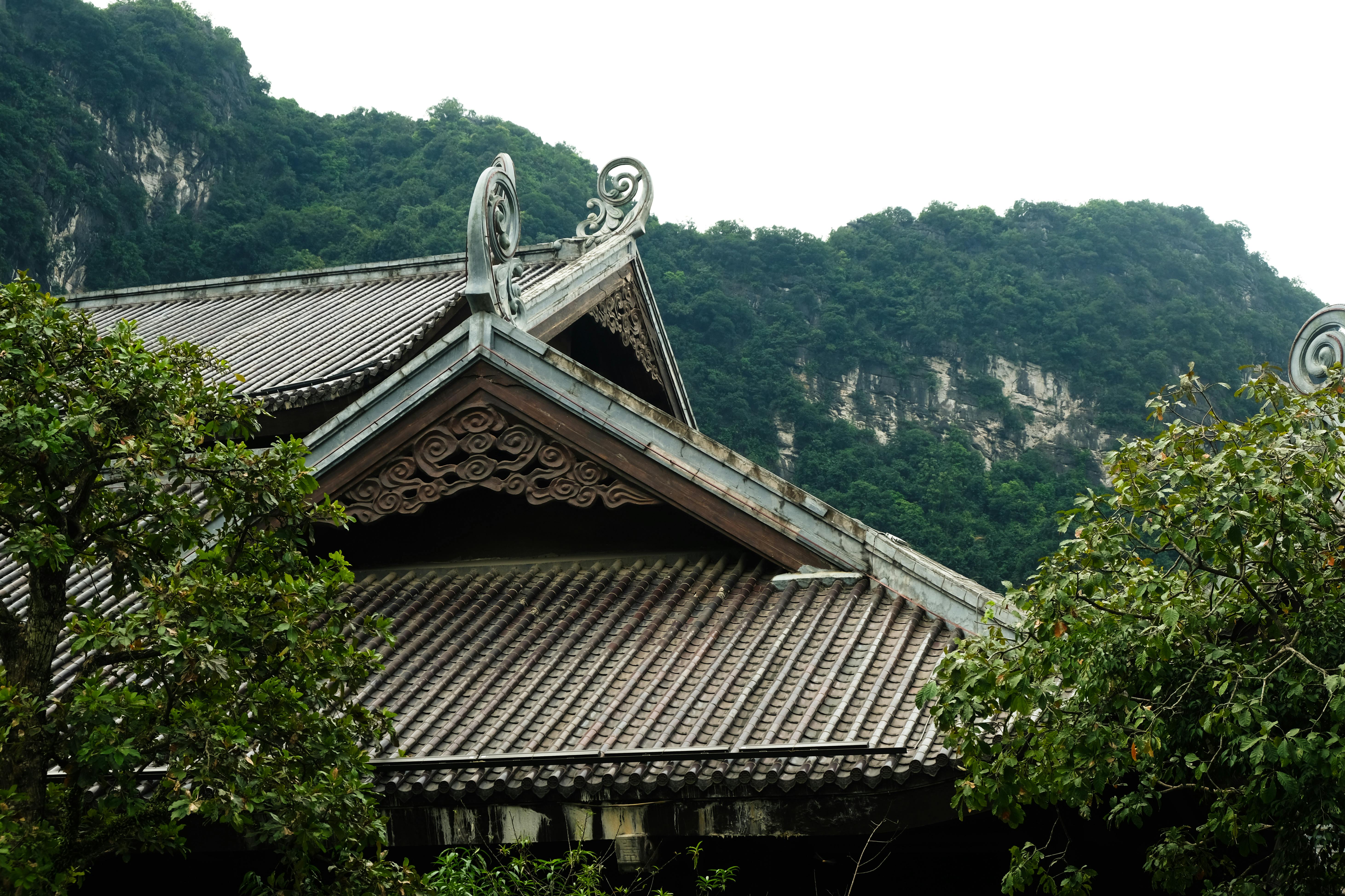 Onlyfans+Asian+Mature+Swiri Photos, Download The BEST Free Onlyfans