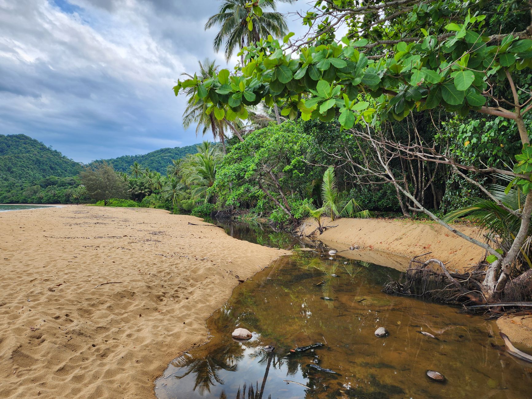 A scenic tropical beach with lush greenery, a clear stream, and palm trees under a cloudy sky.