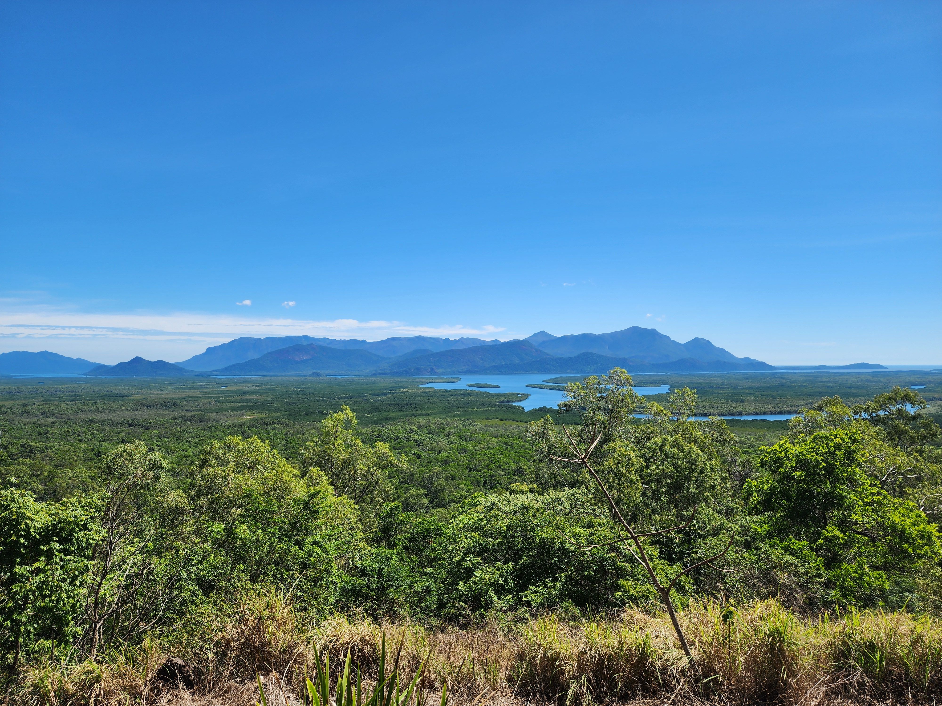A stunning landscape showcasing expansive forests with mountains in the background under a clear blue sky.