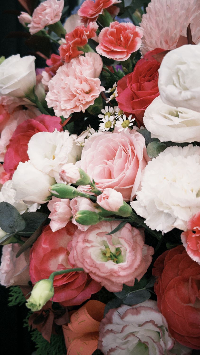 Vibrant Bouquet of Various Pink Roses and Carnations · Free Stock Photo