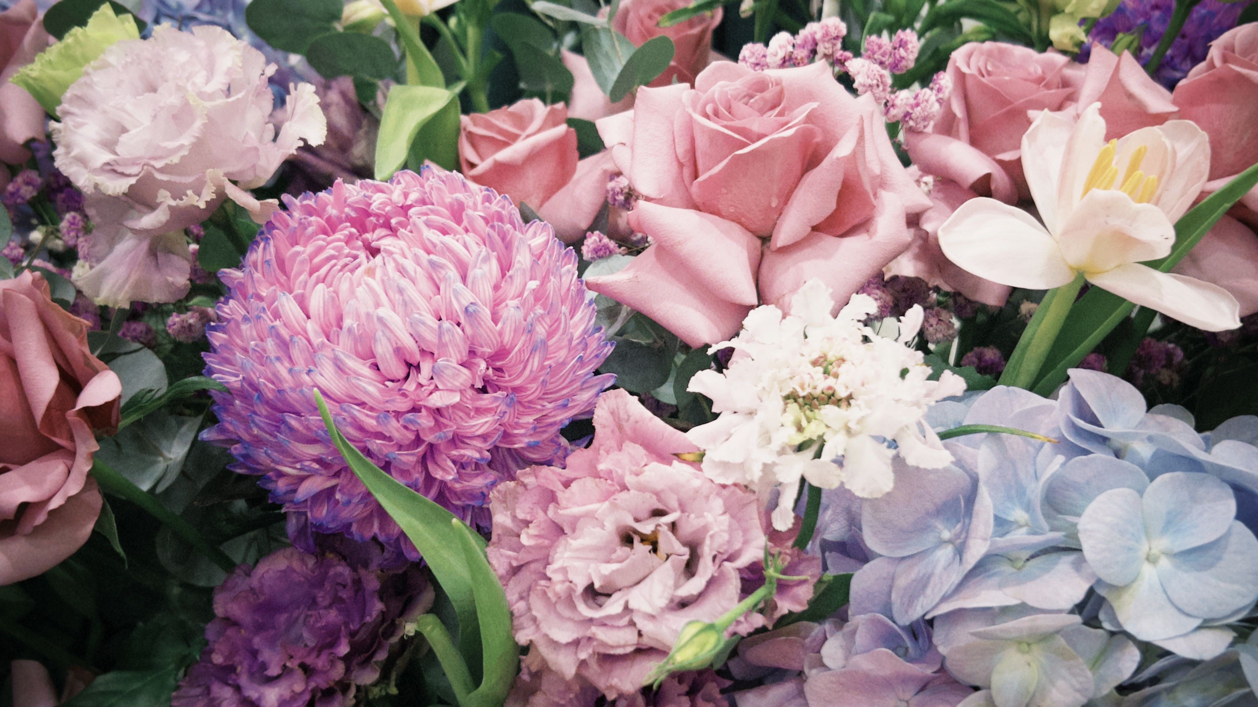 Colorful Floral Arrangement with Various Flowers · Free Stock Photo