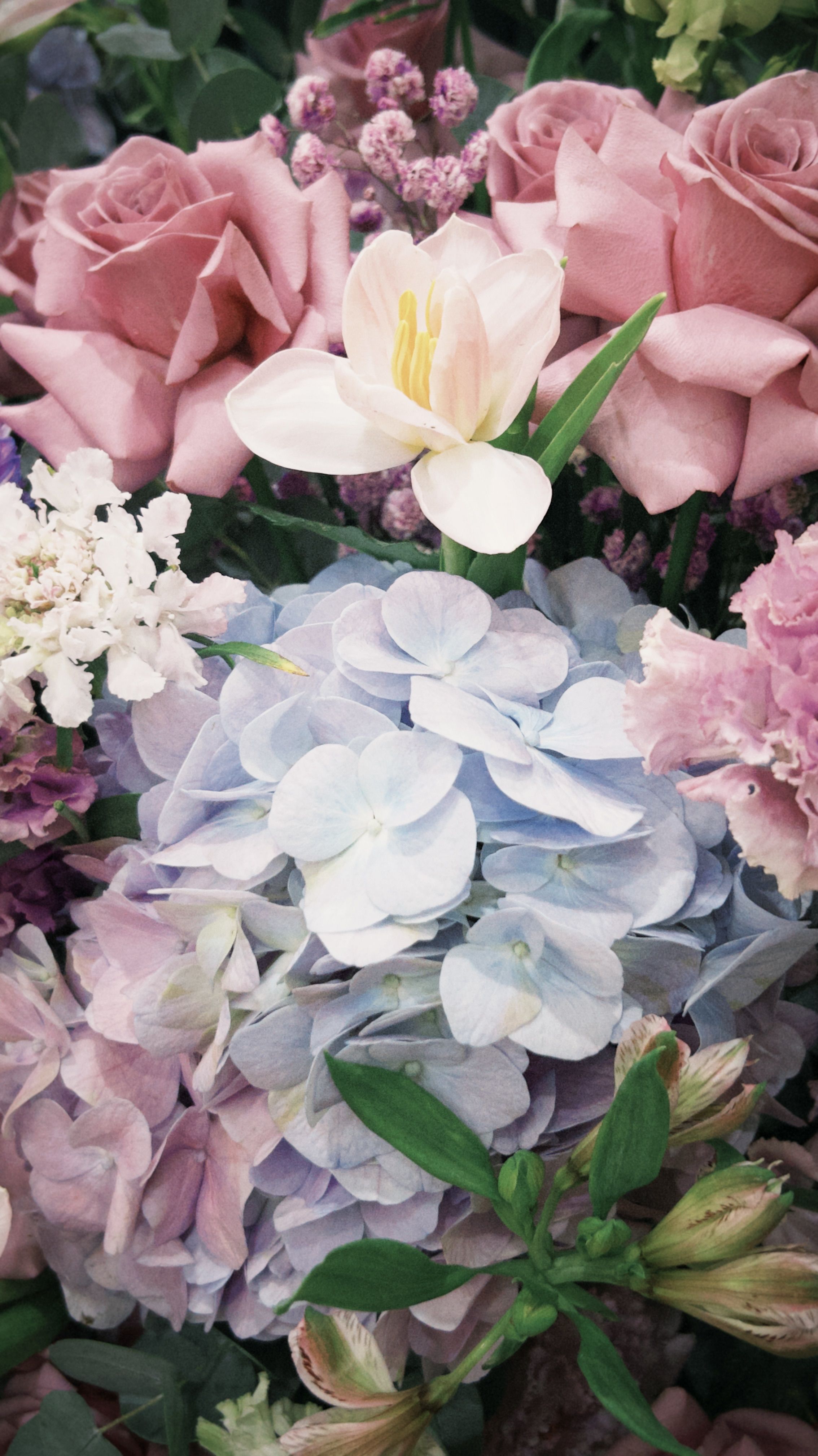 Elegant Bouquet of Hydrangeas and Roses · Free Stock Photo