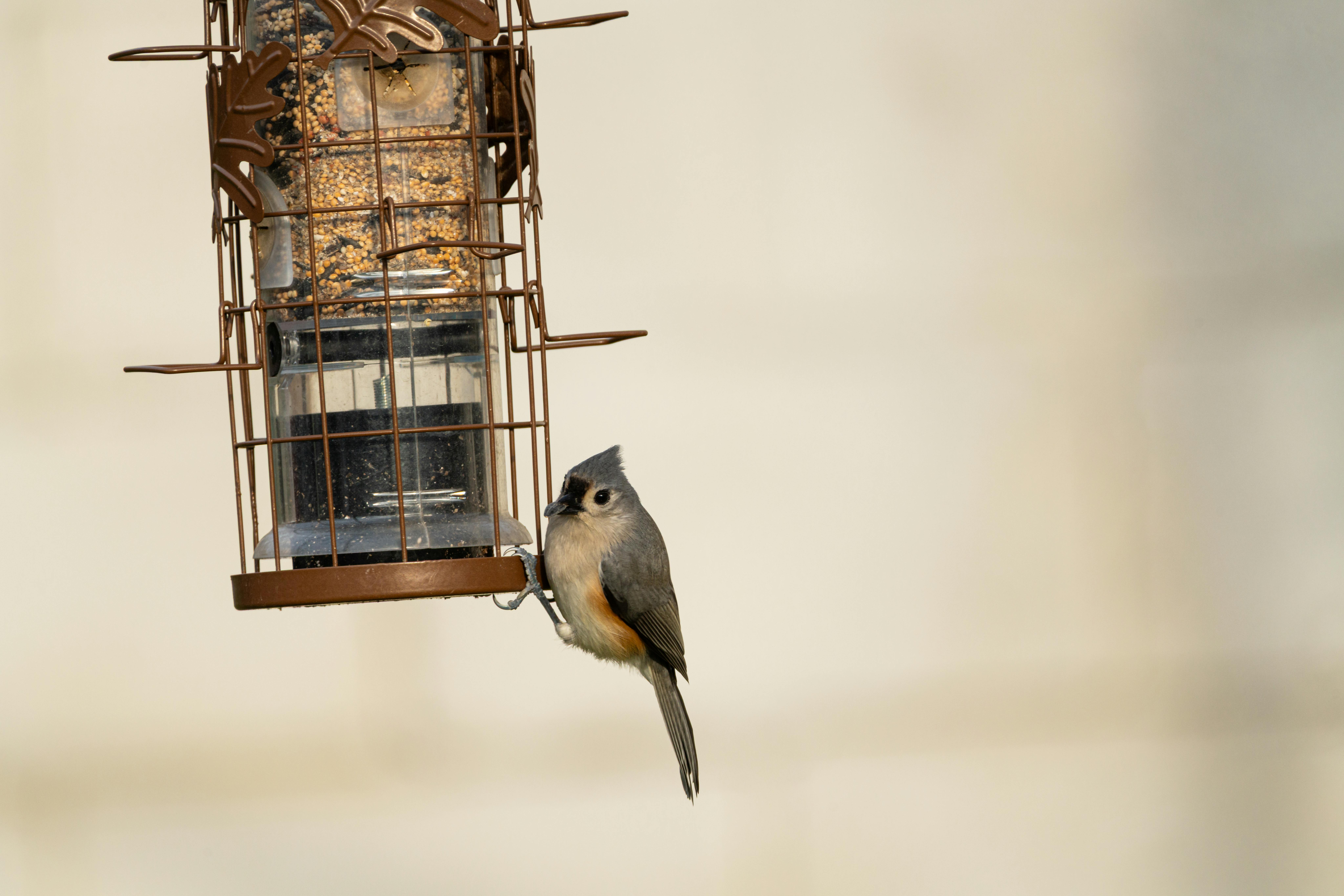 美準聯合國副大使力阻北京操控國際組織敘事