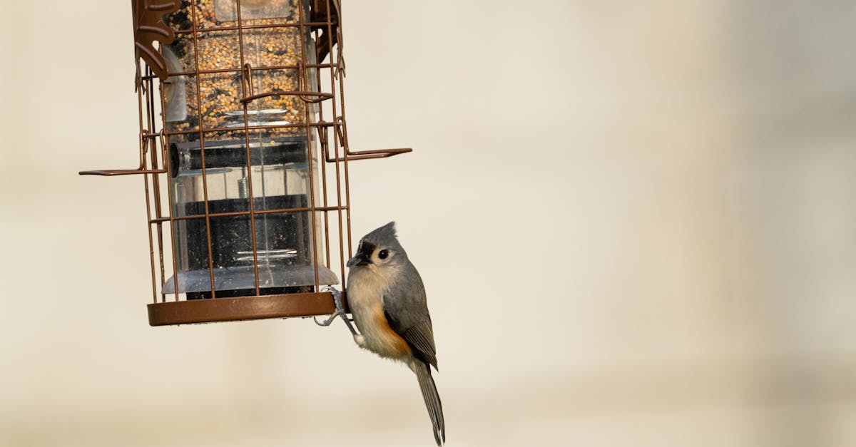 美準聯合國副大使力阻北京操控國際組織敘事
