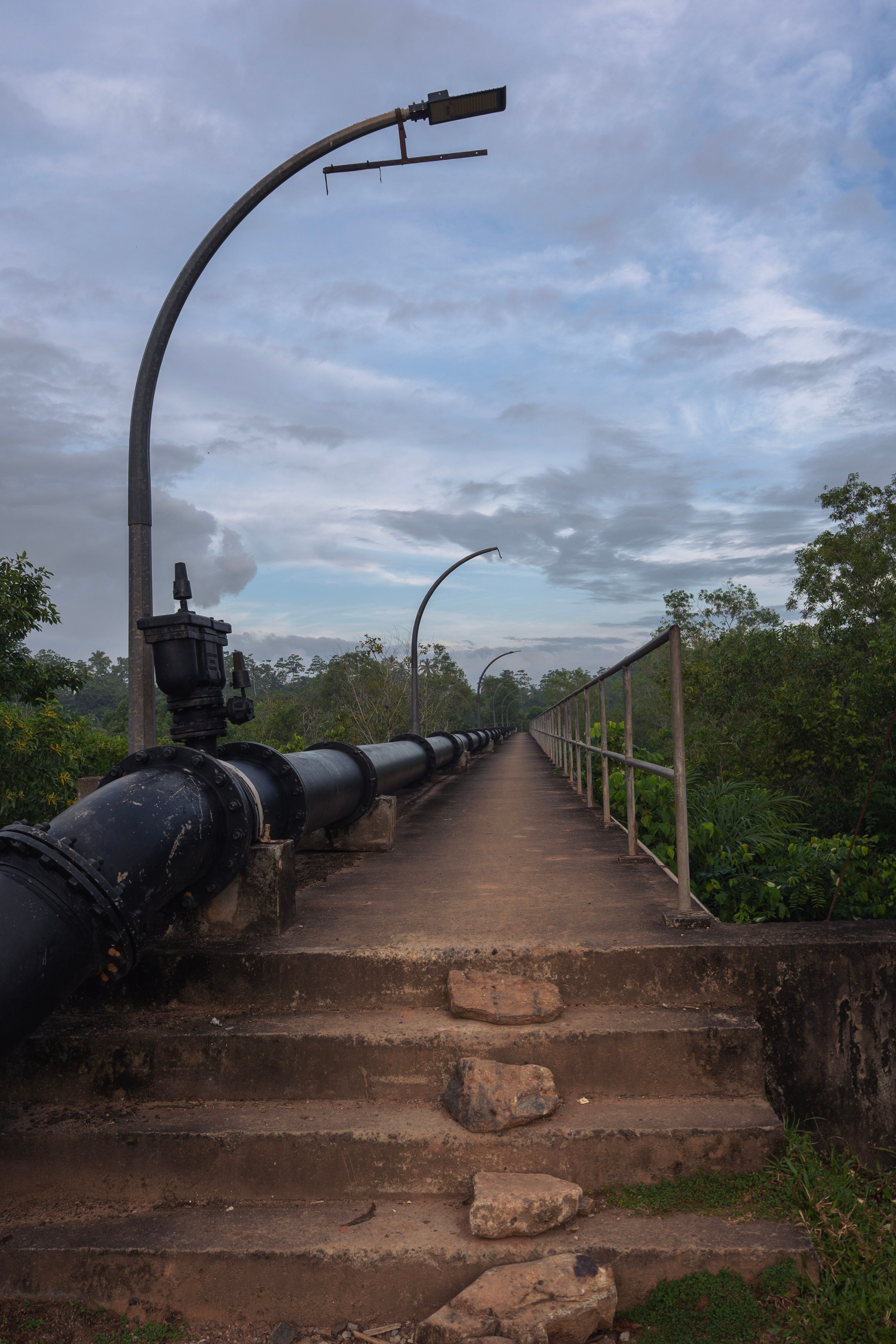 A long industrial pipeline runs through lush greenery under a cloudy sky.