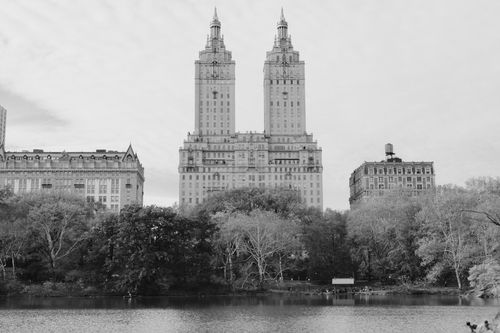 Free Black and white image showcasing iconic Manhattan towers and Central Park trees. Stock Photo