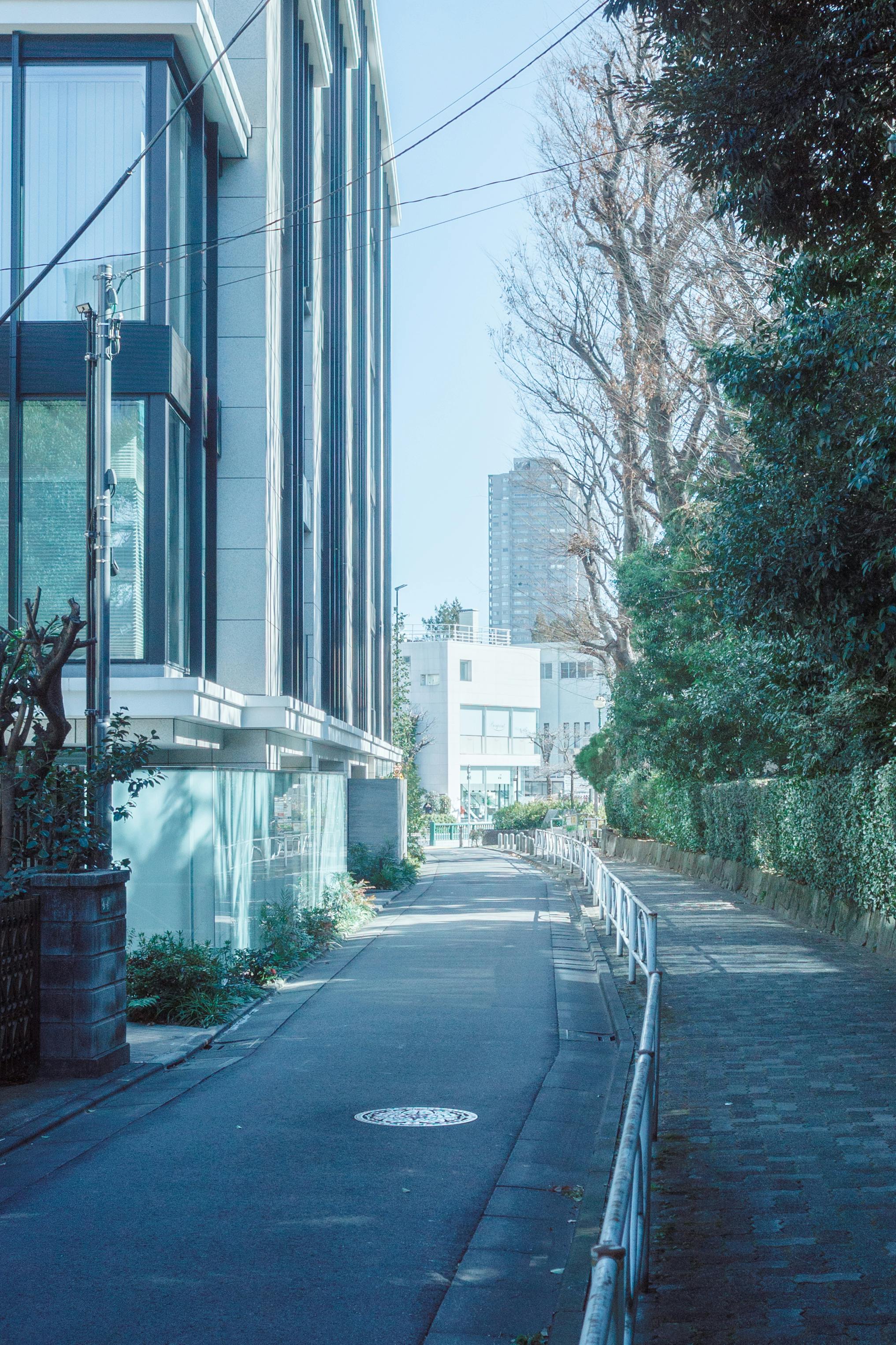 Gratuit Scène de rue urbaine paisible à Shibuya, Tokyo, avec une architecture moderne et une végétation luxuriante. Photos